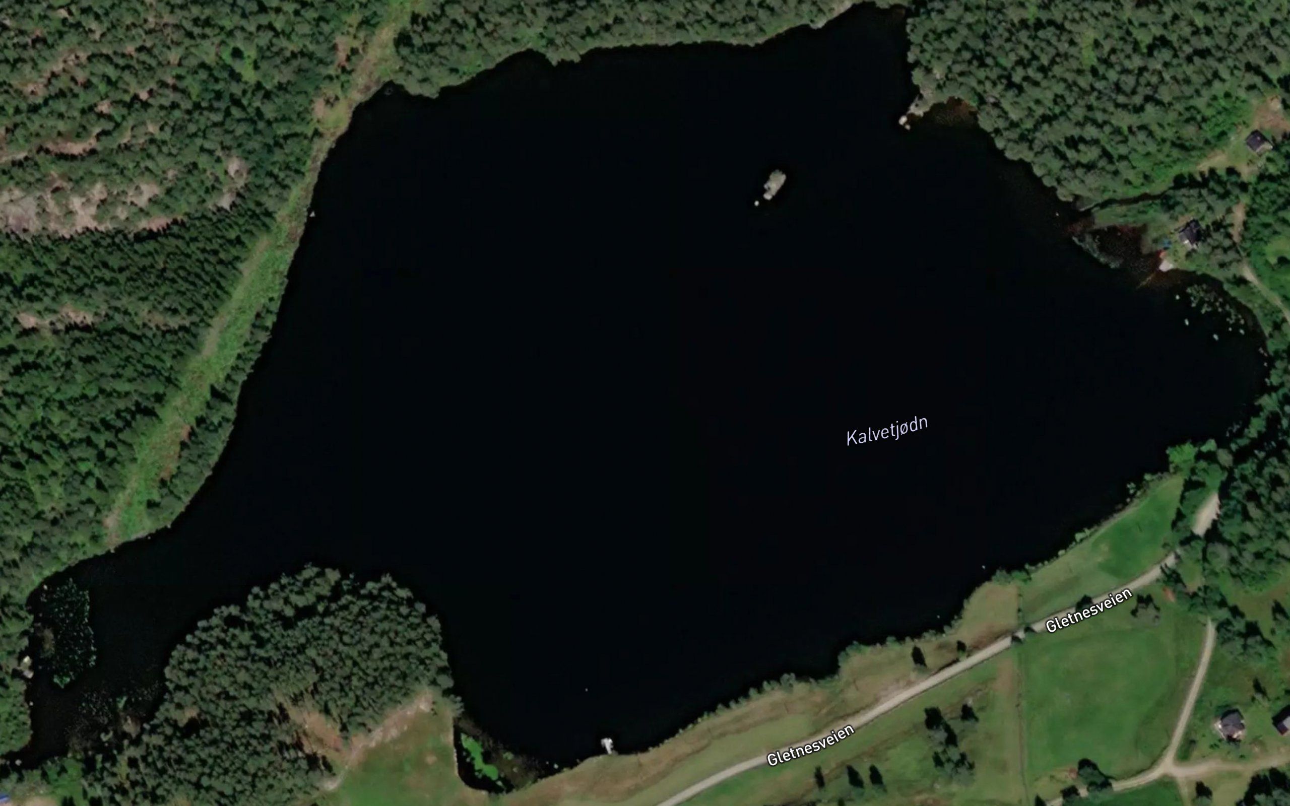 Kalvetjodn
