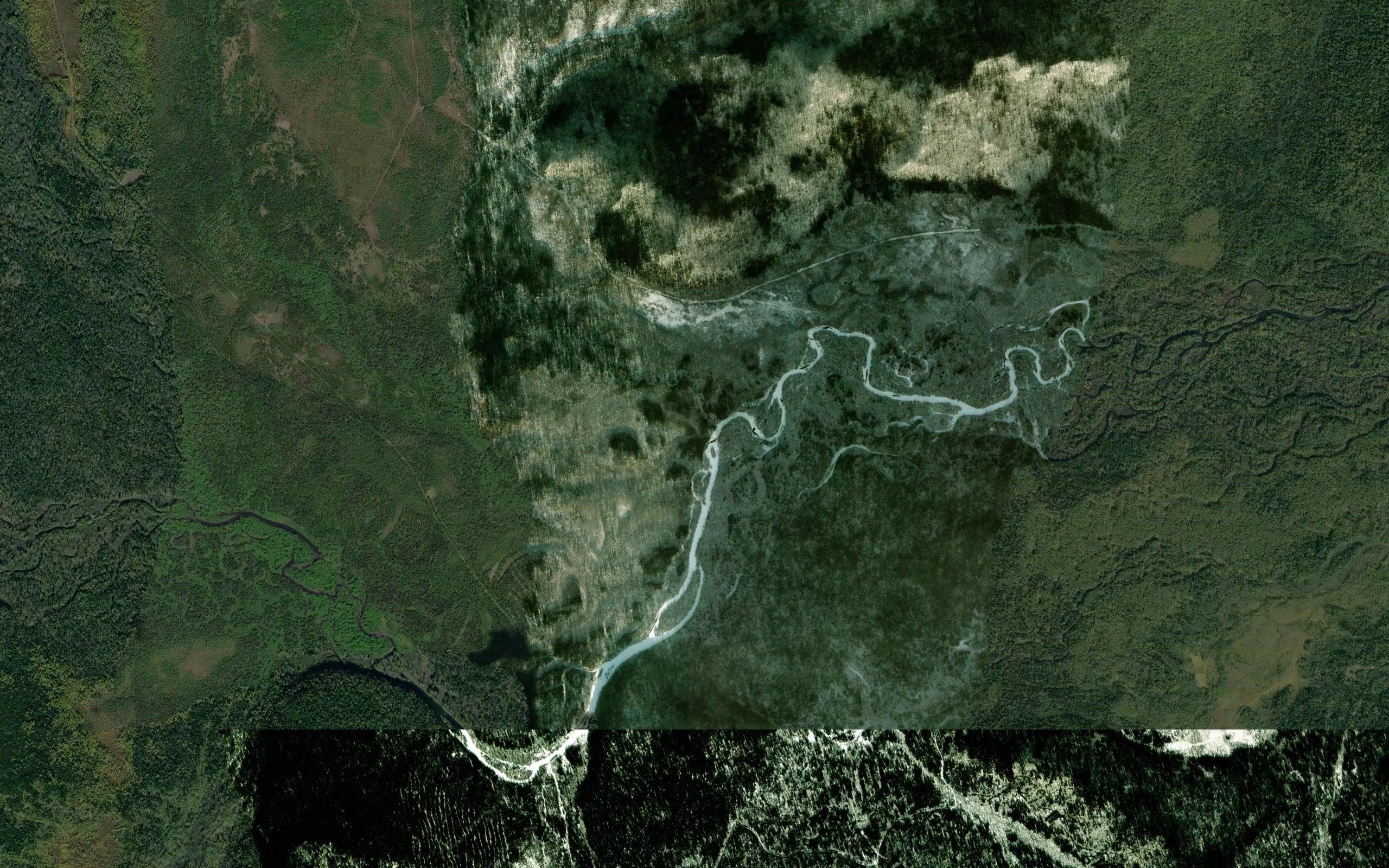 Tikhiy