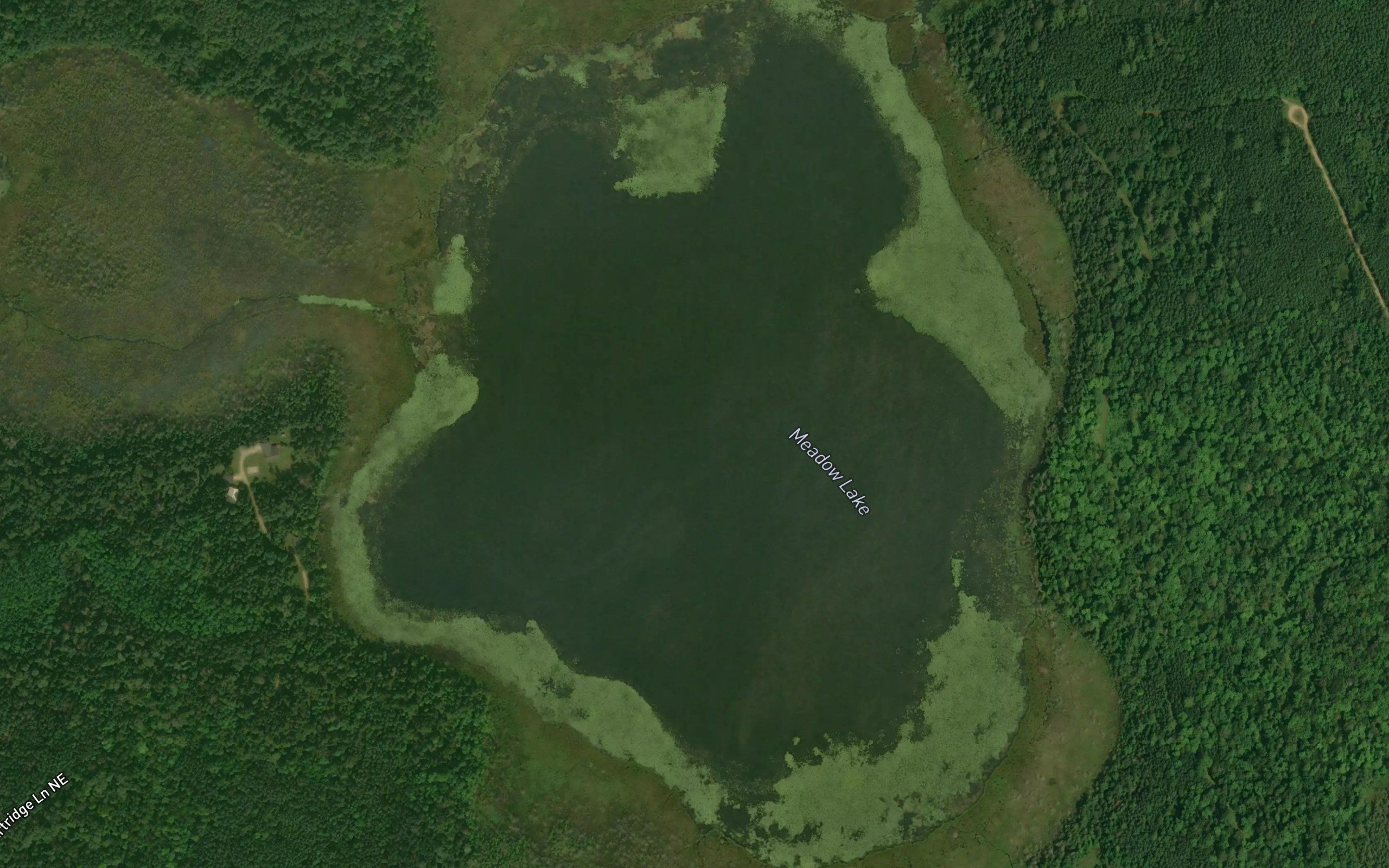 Meadow Lake