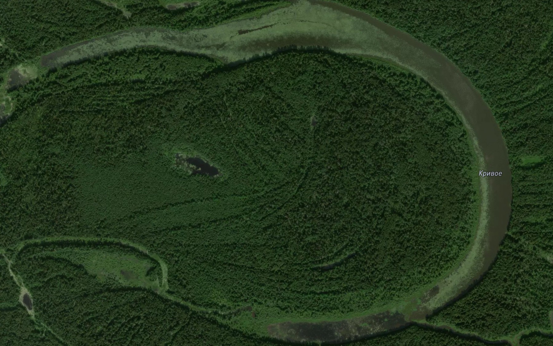 Satellite map of the Ozero Krivoye