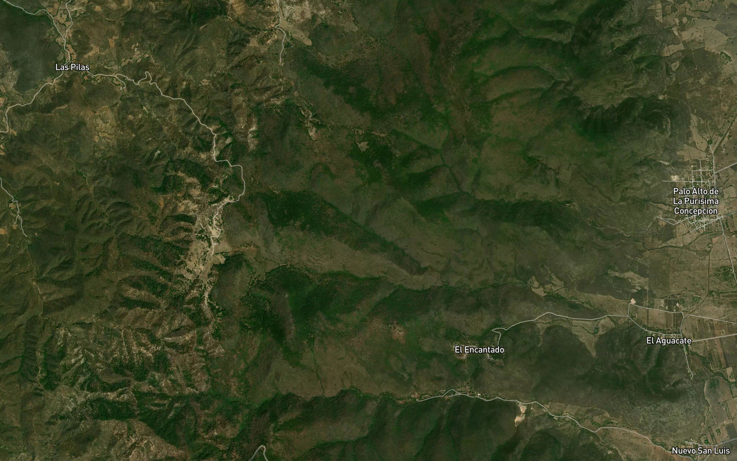 Barranca Torrecitas