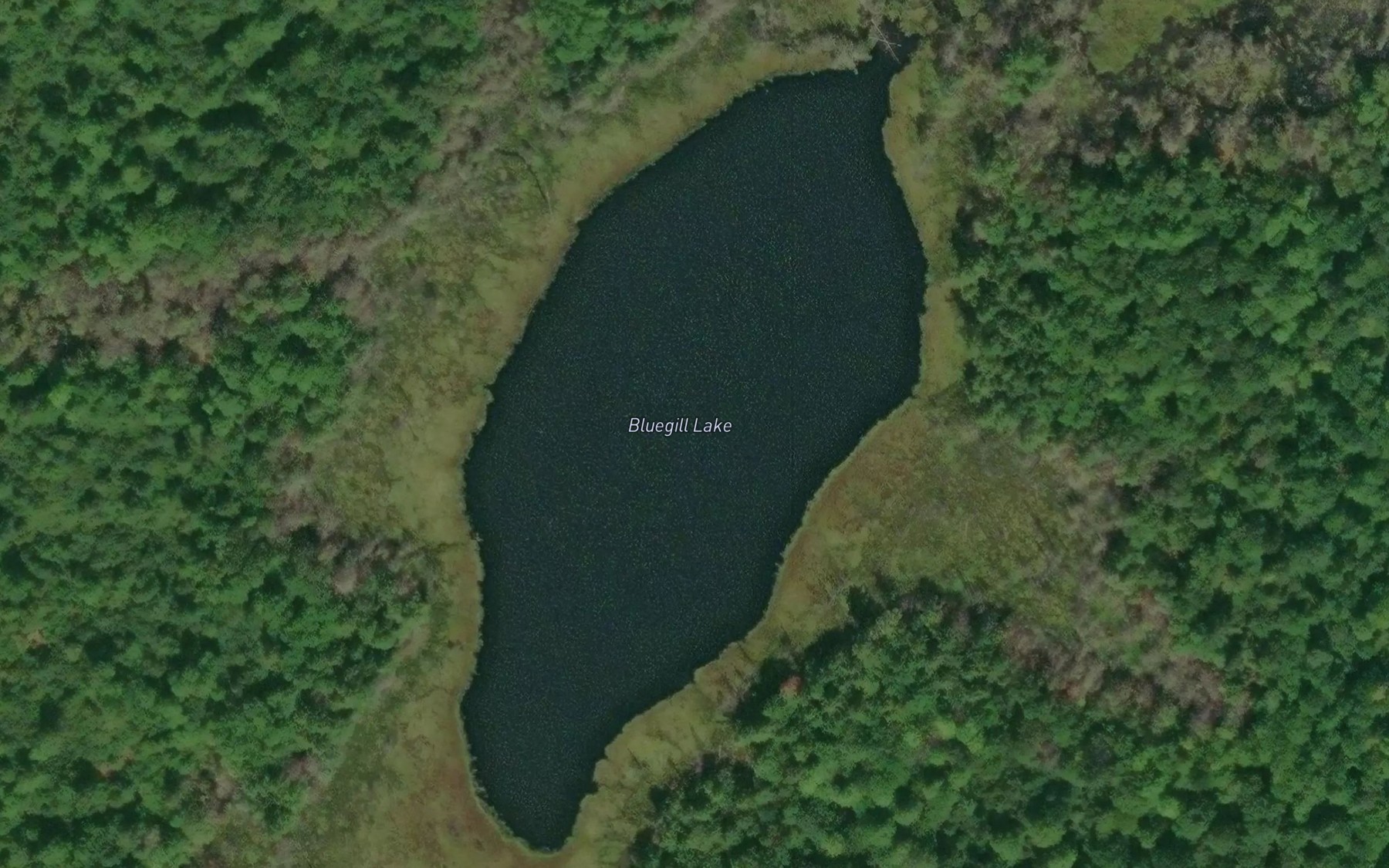 Satellite map of the Bluegill Lake