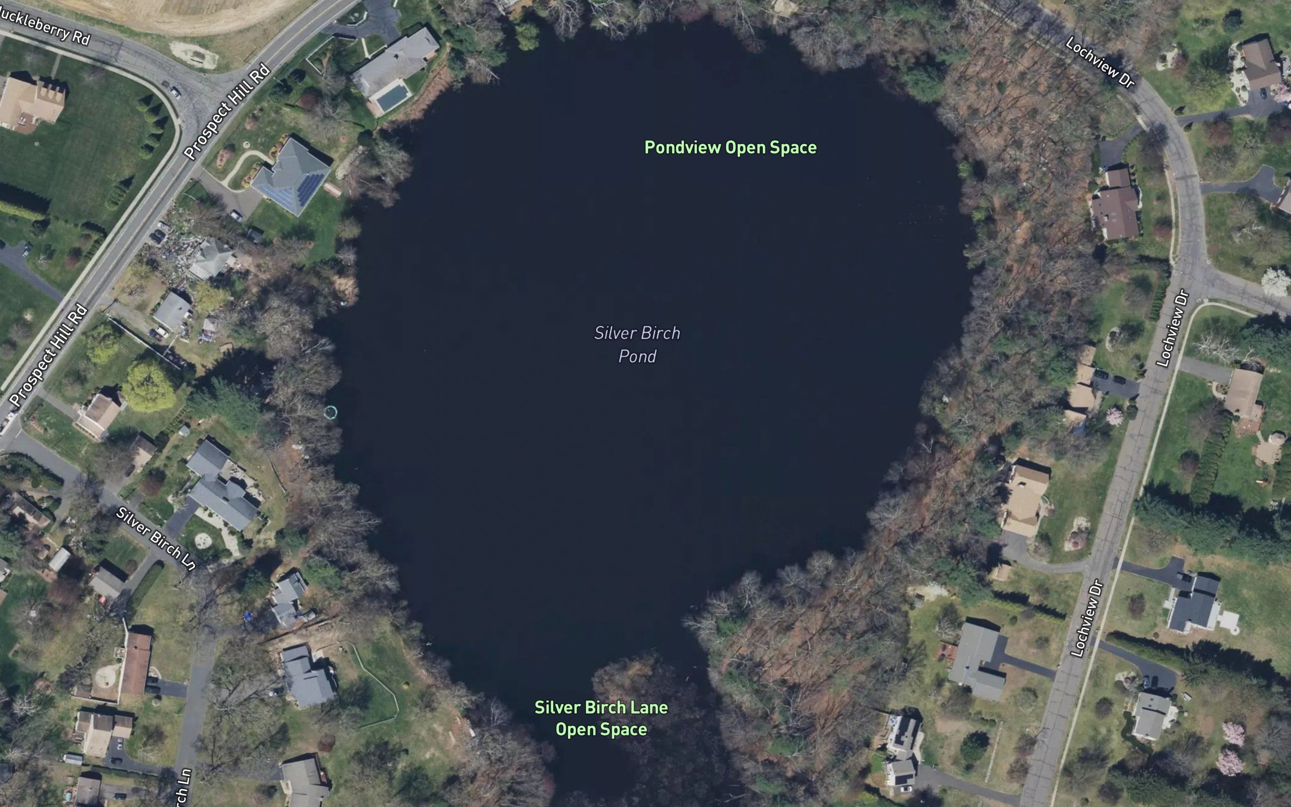 Silver Birch Pond