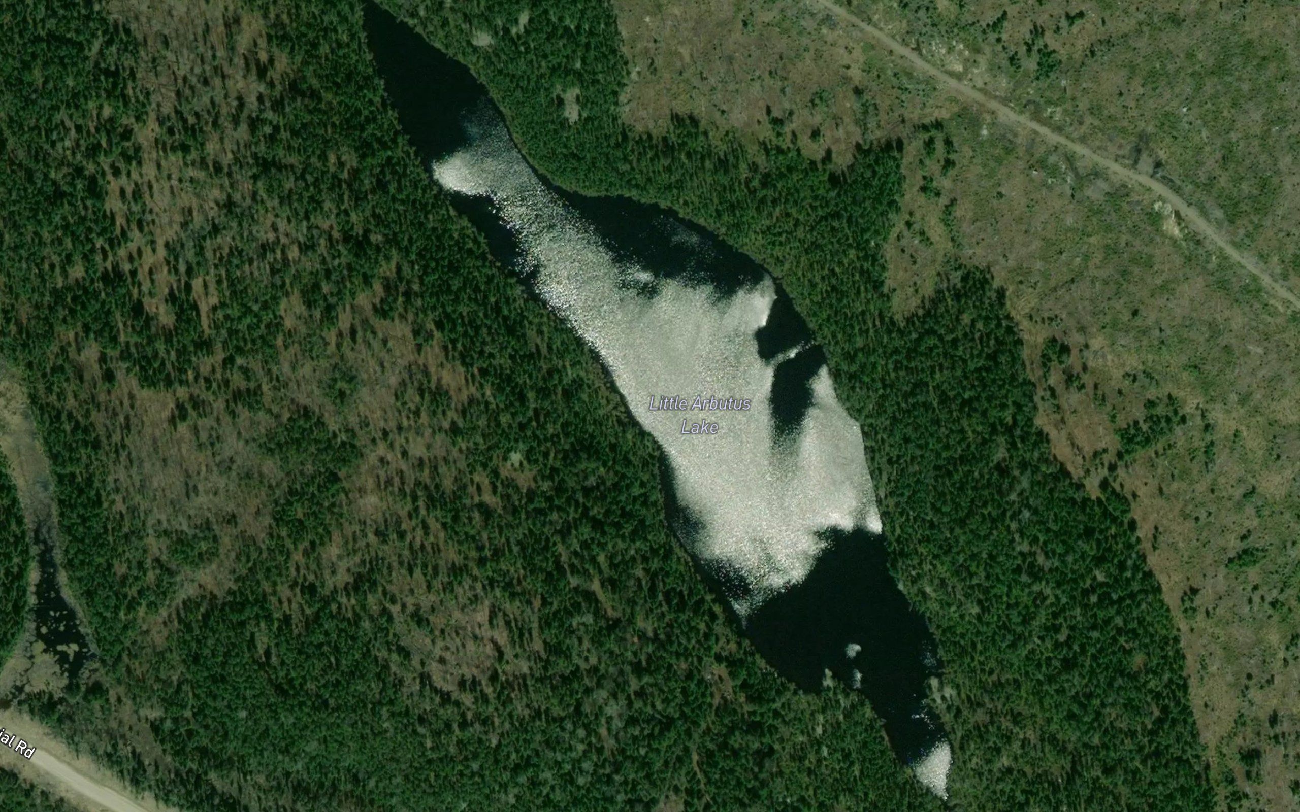 Little Arbutus Lake