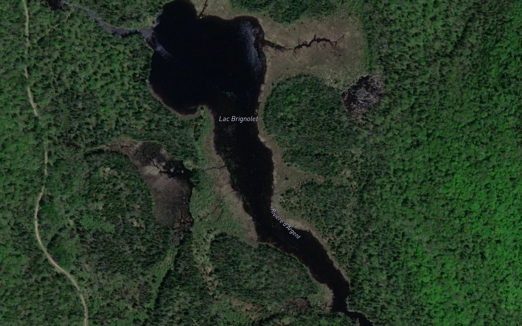 Satellite map of the Lac Brignolet