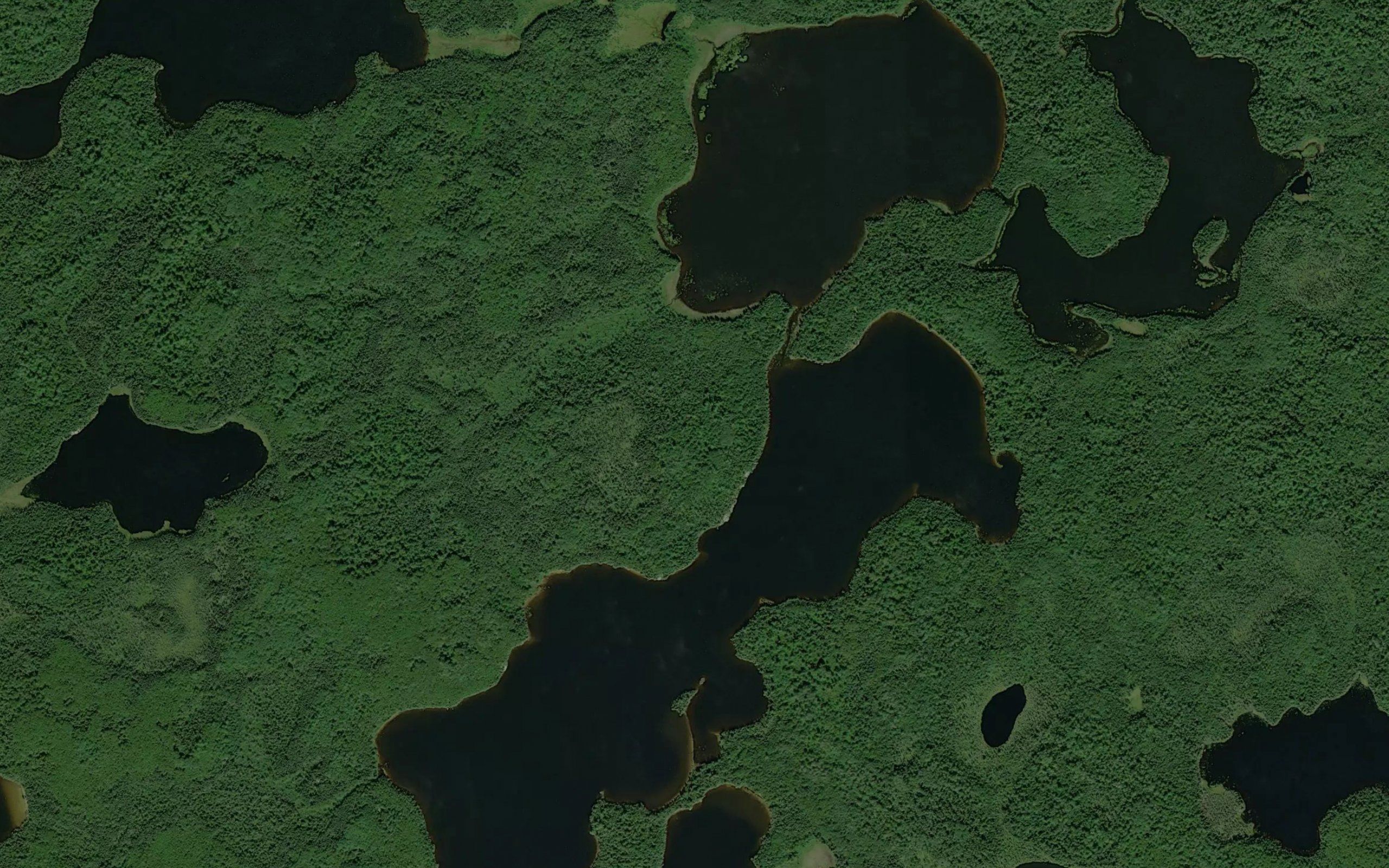 Dawson Bay