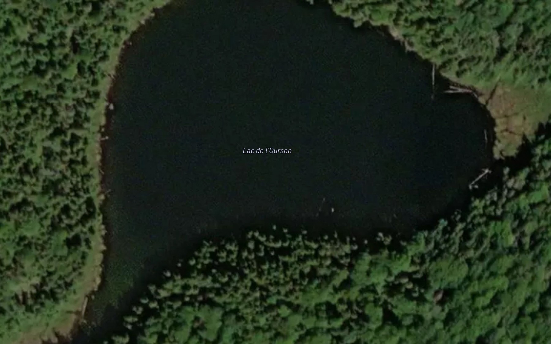 Satellite map of the Lac de l'Ourson