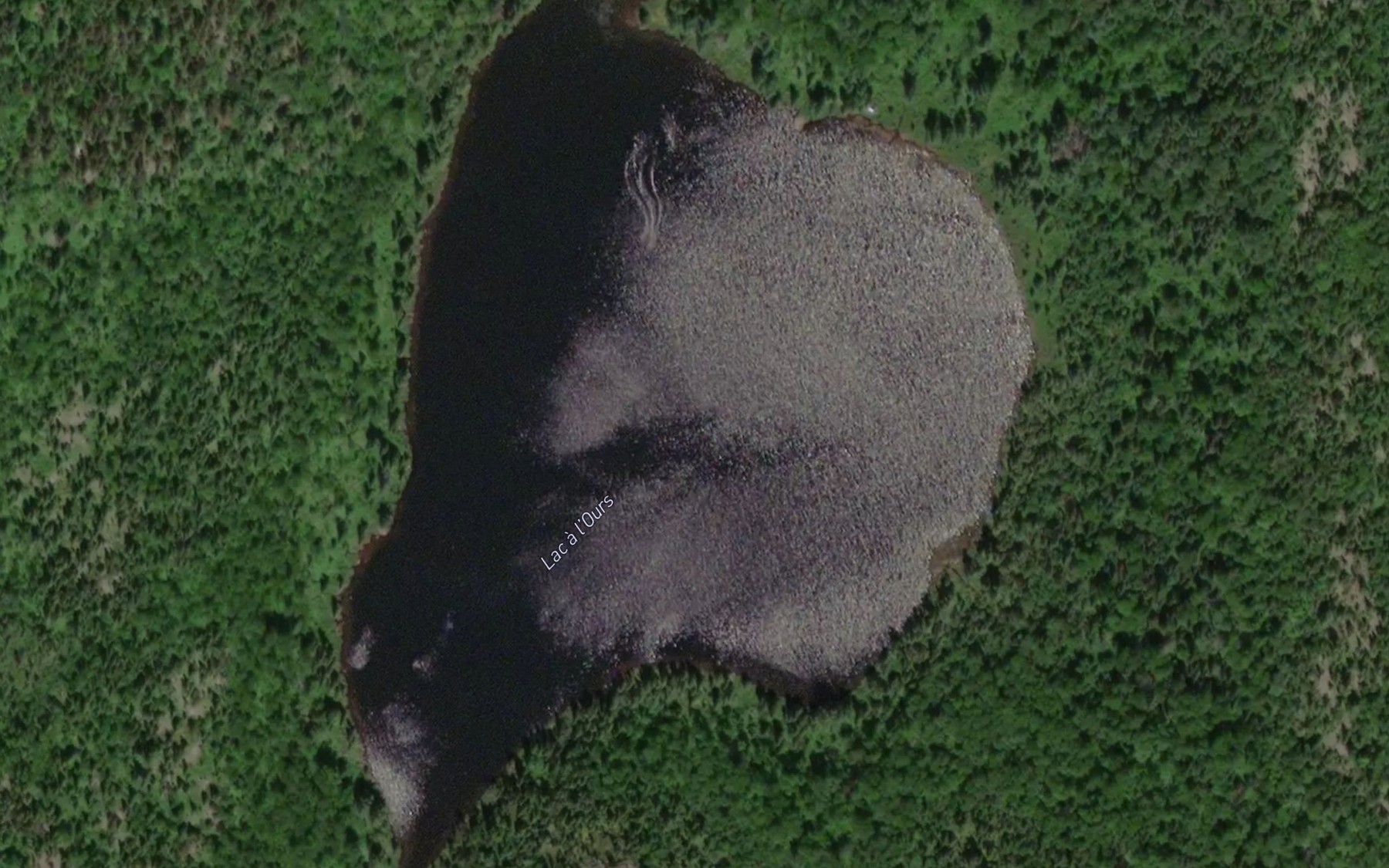 Satellite map of the Lac a l'Ours
