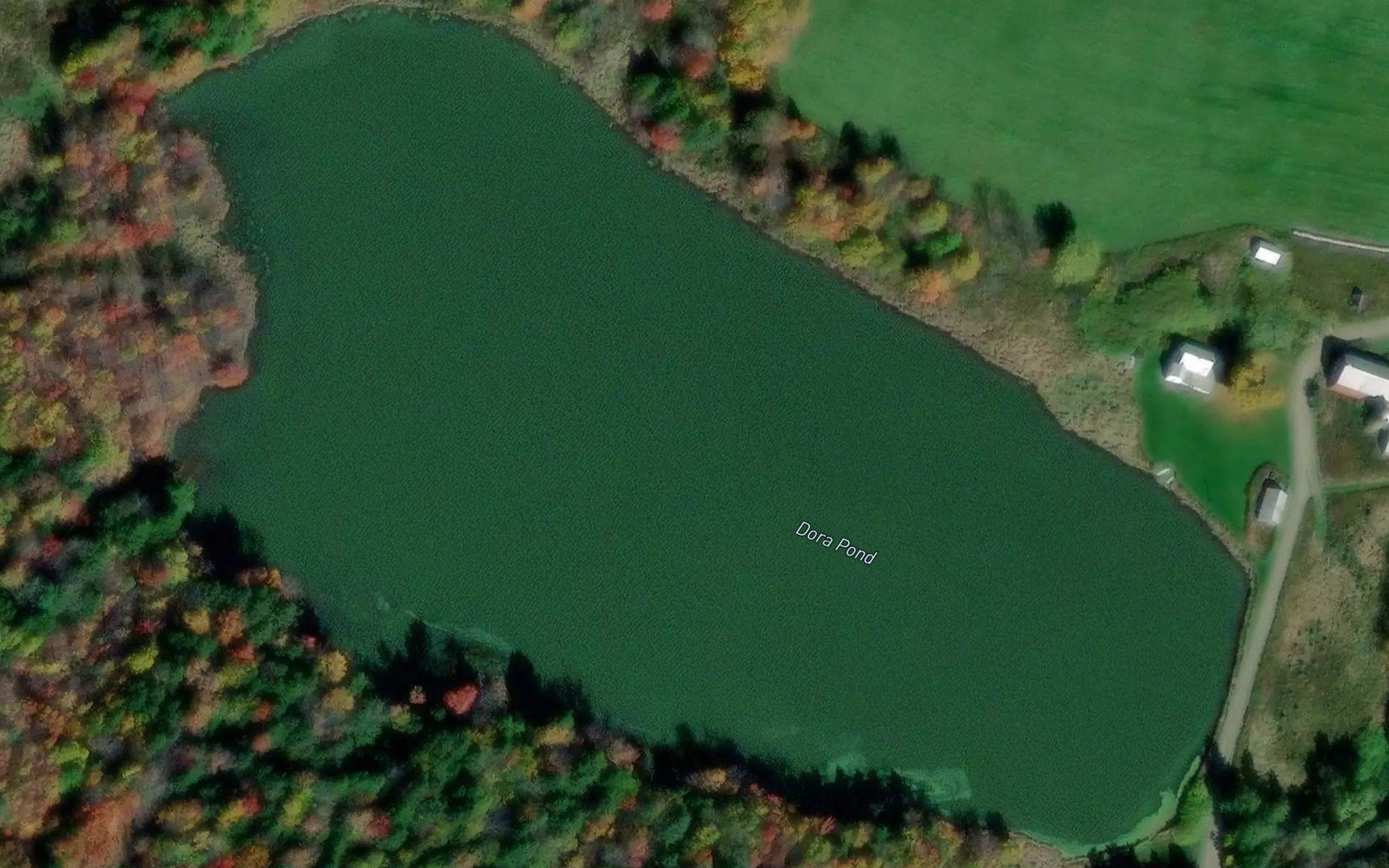 Dora Pond