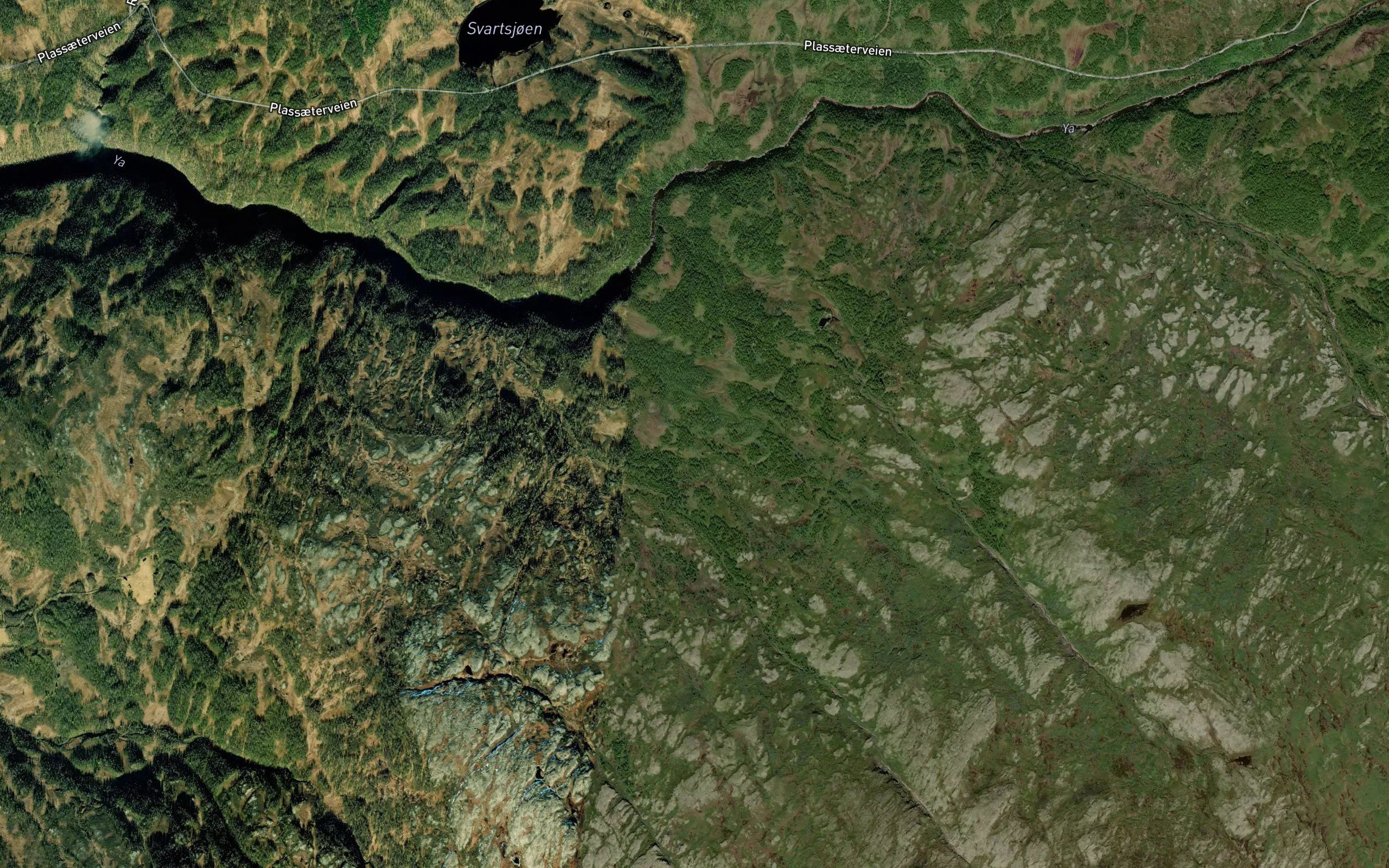 Midtbekken
