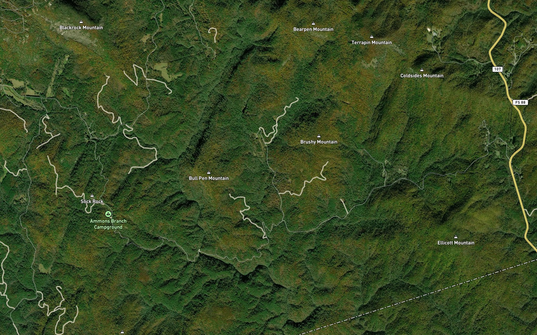 Satellite map of the Bryson Branch