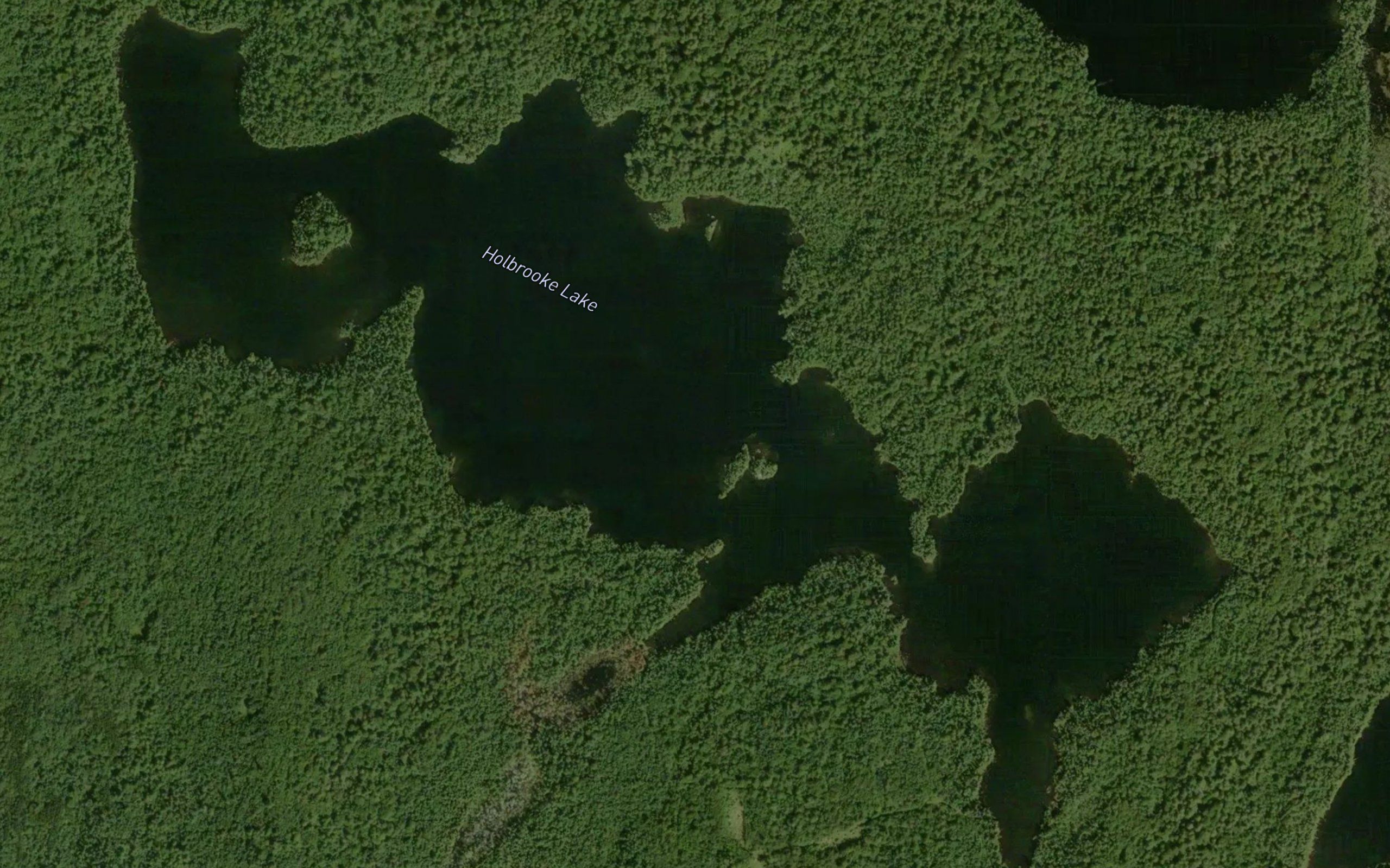 Holbrooke Lake