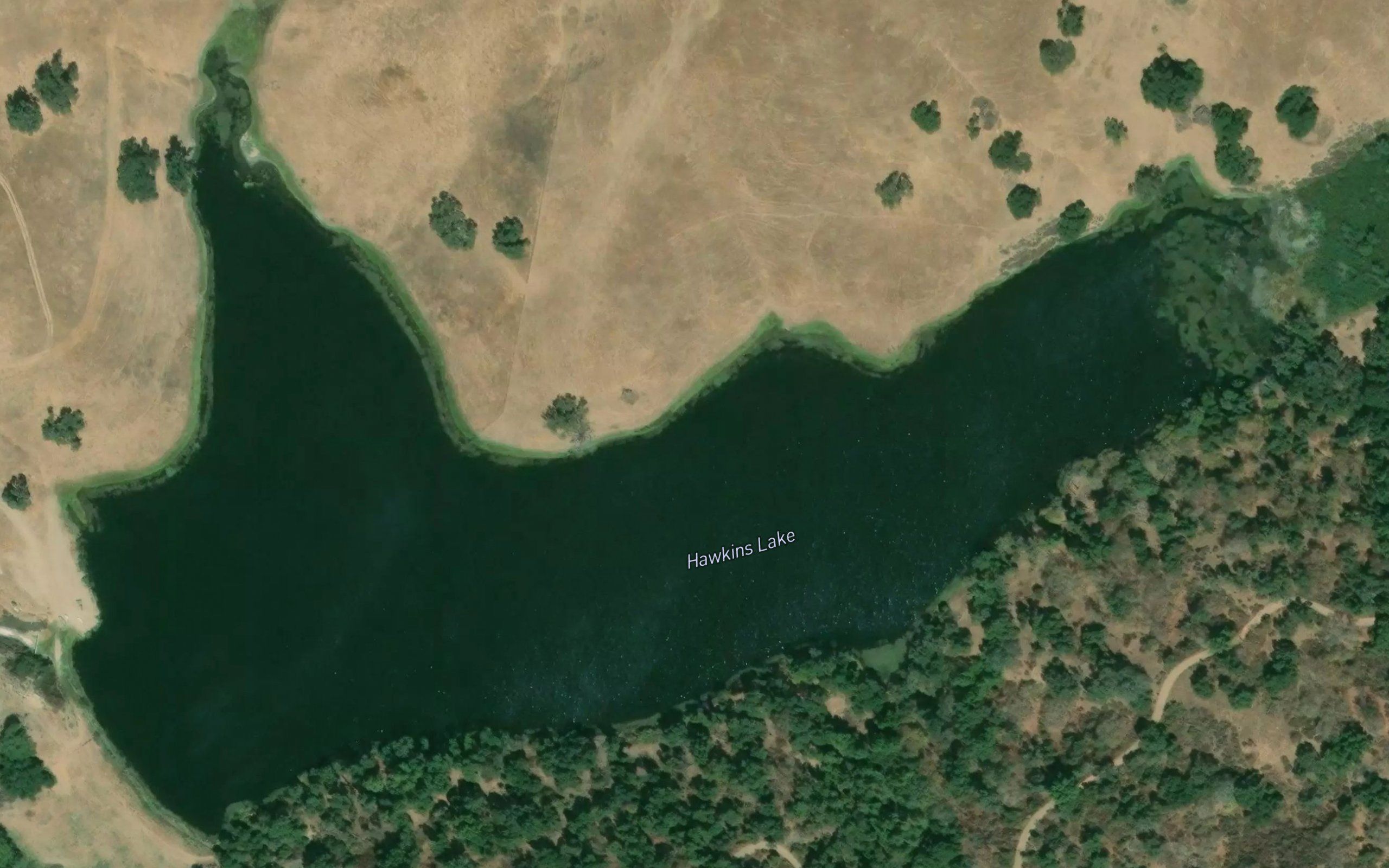 Hawkins Lake