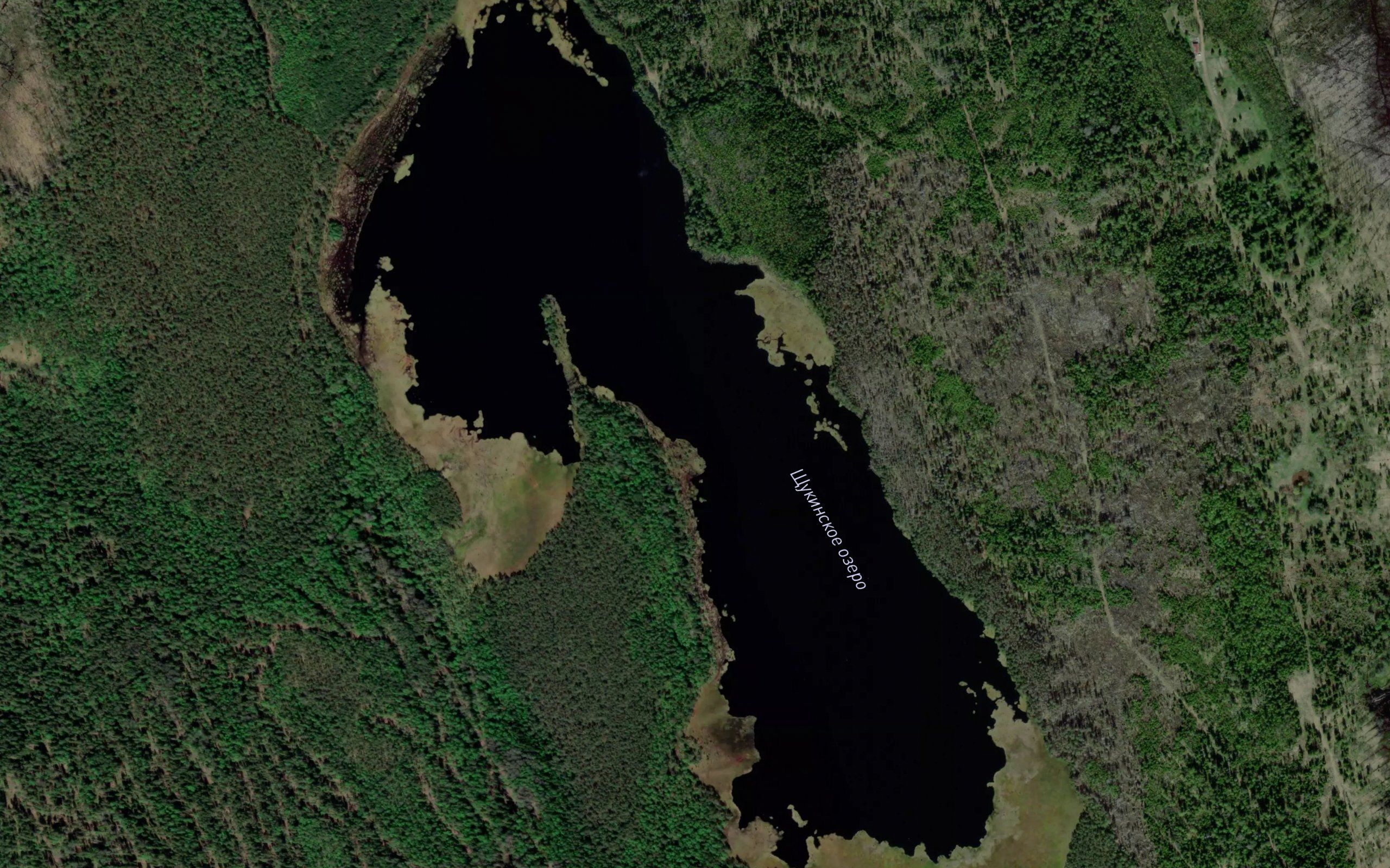 Ozero Shchukinskoye