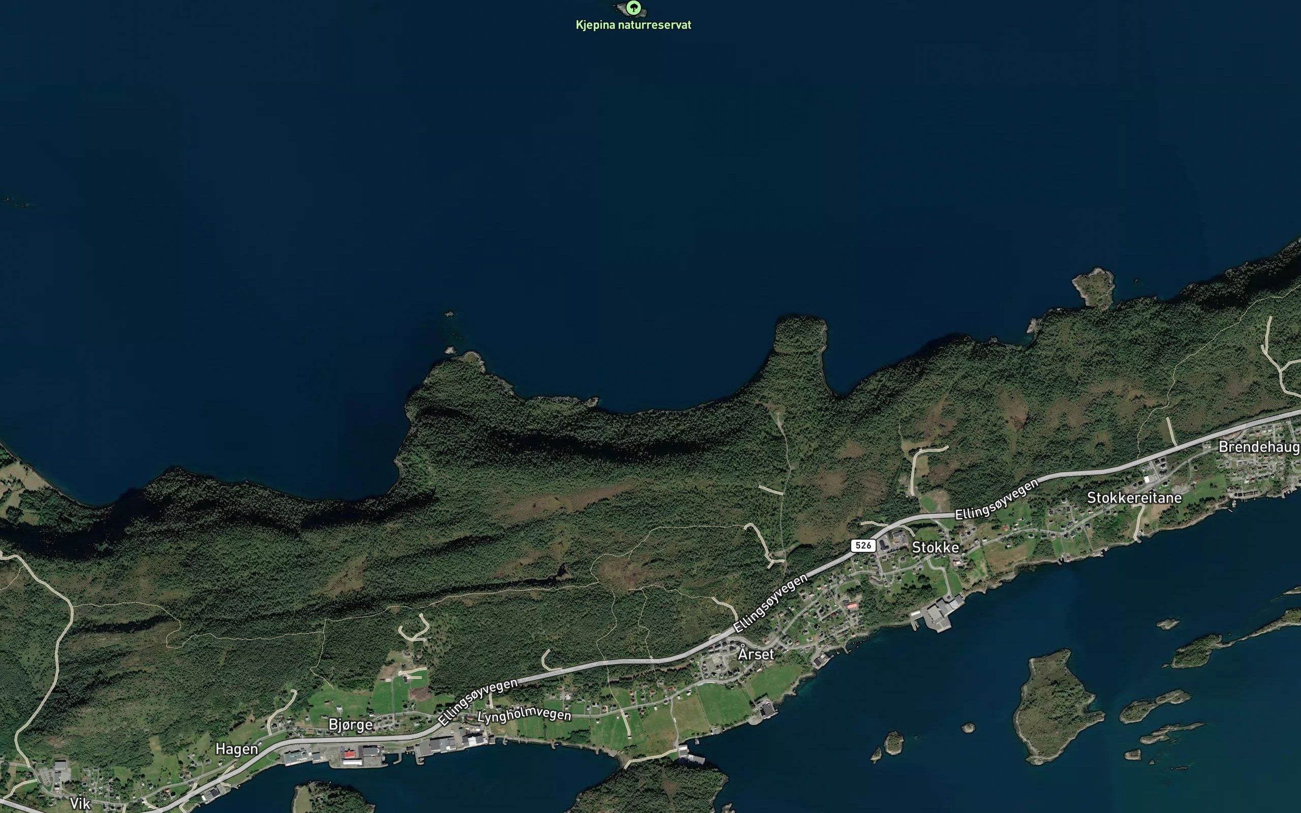 Seljedalsvika
