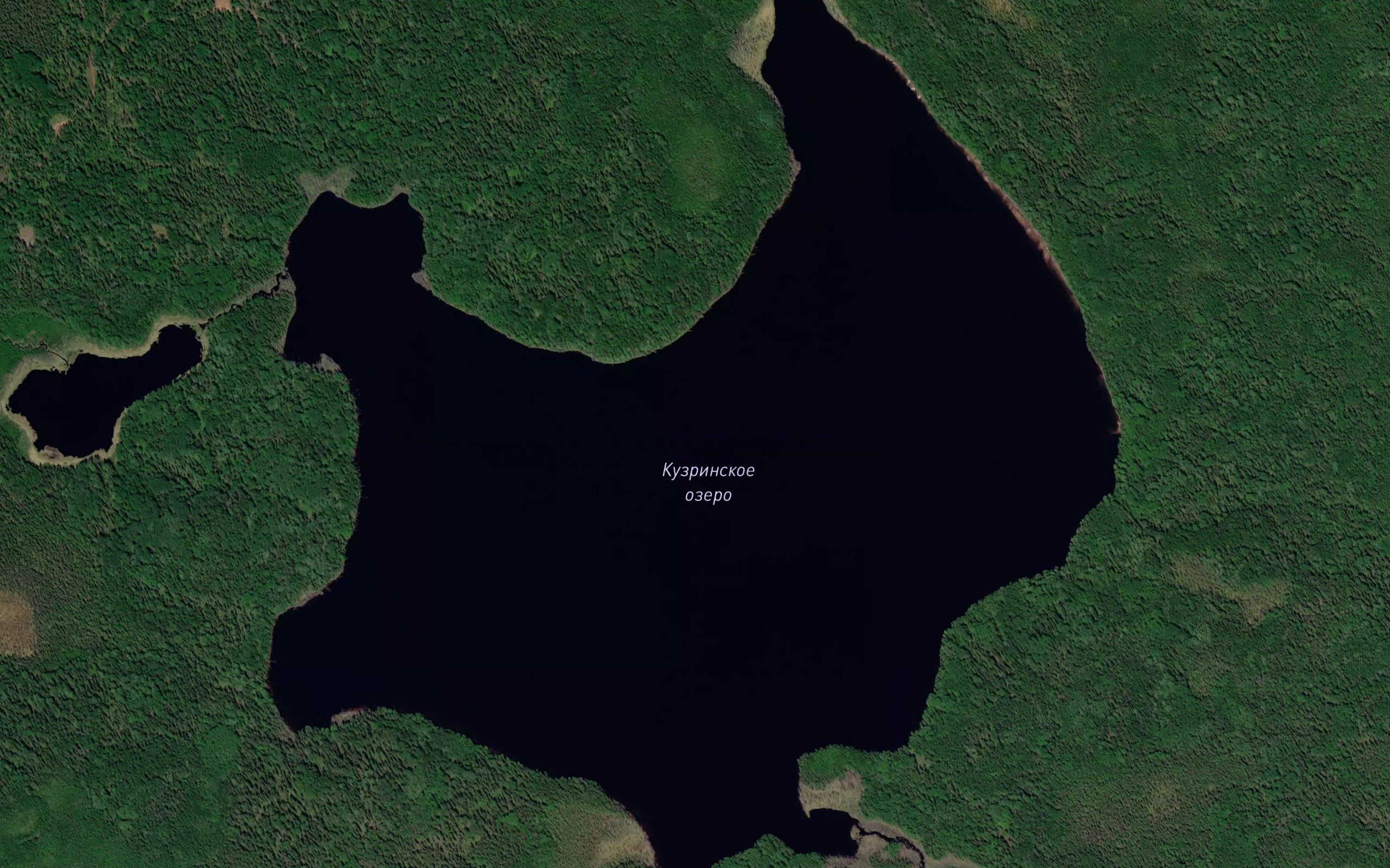 Ozero Kuzrinskoye