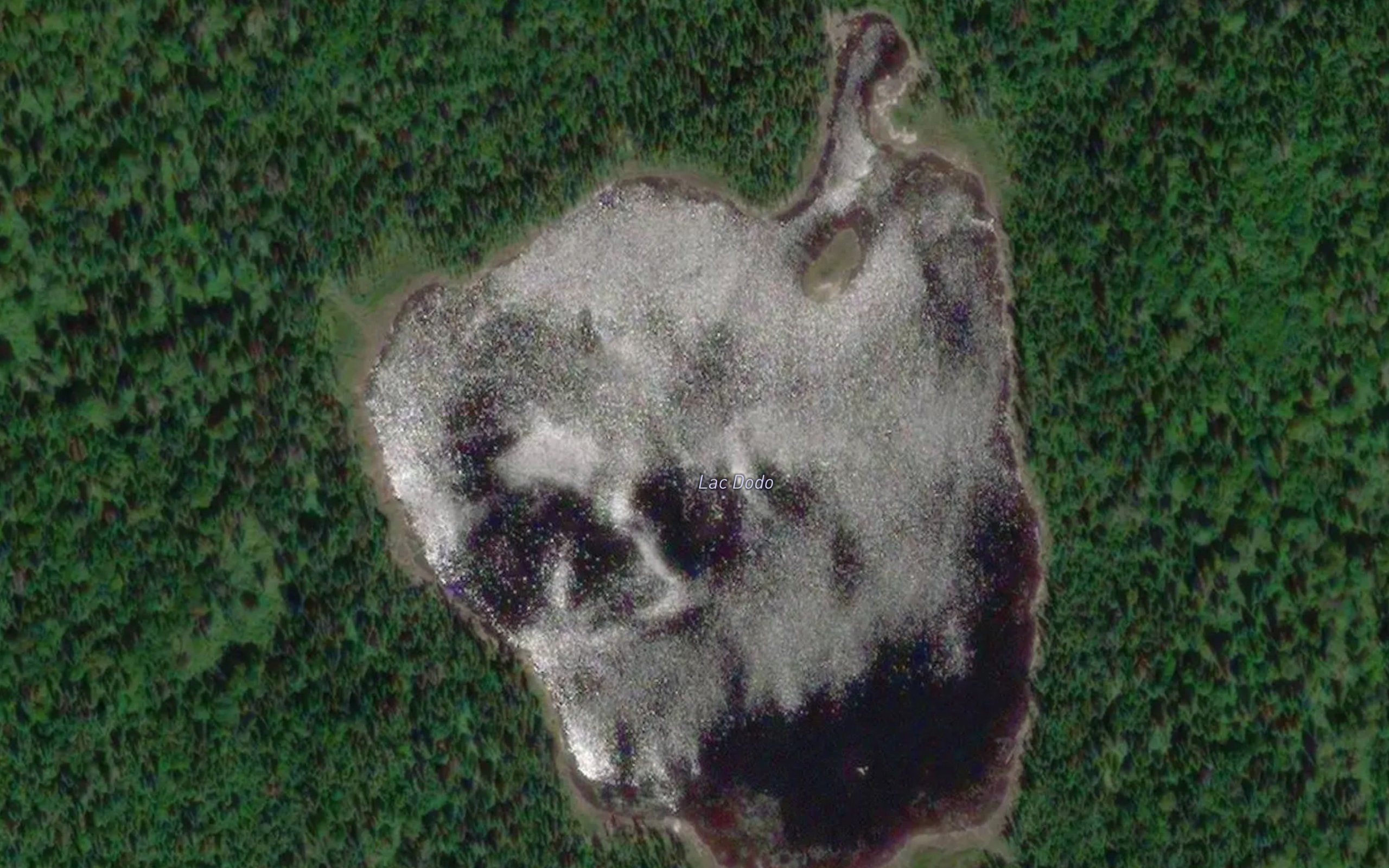 Lac Dodo