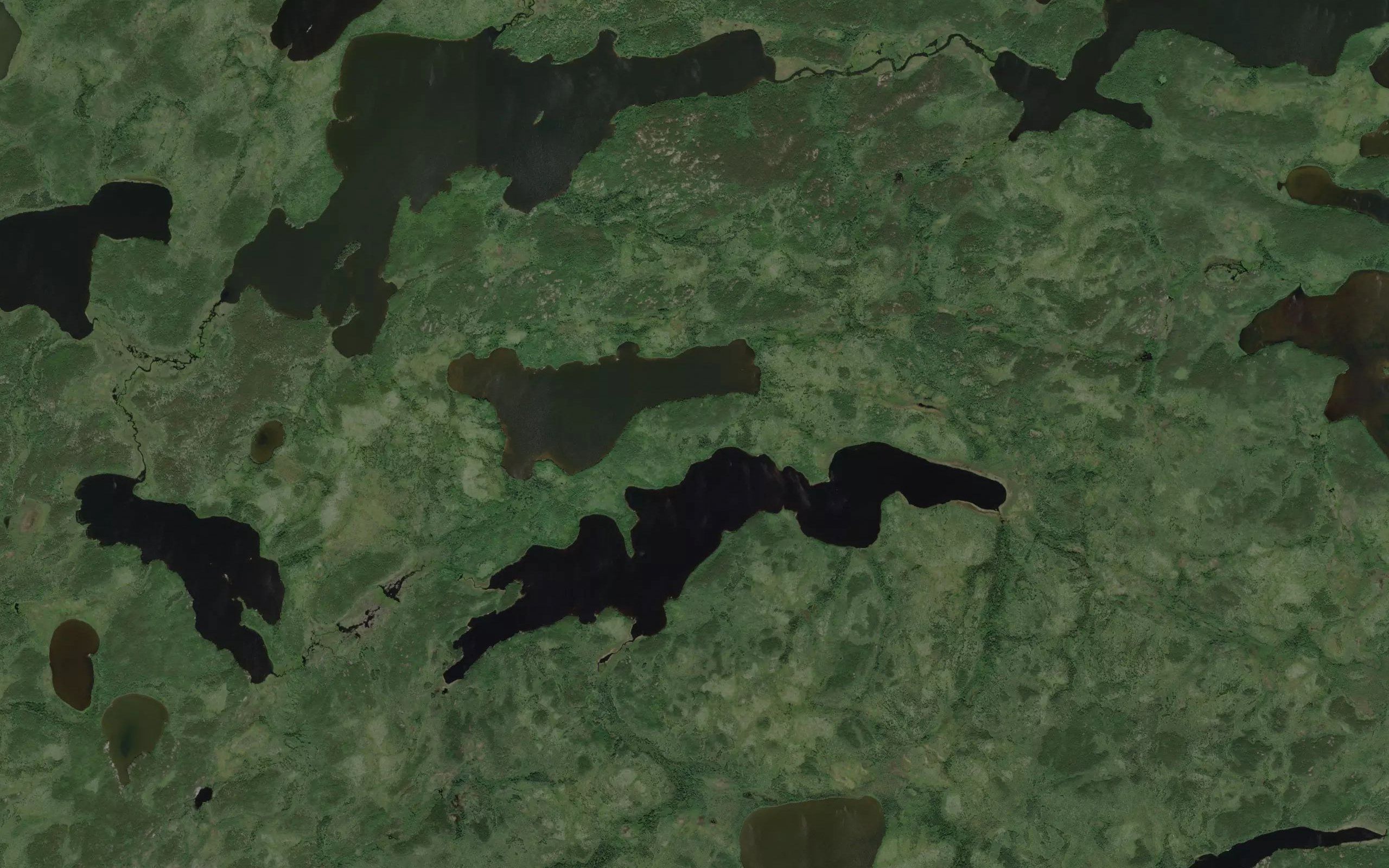 Hetherington Lake