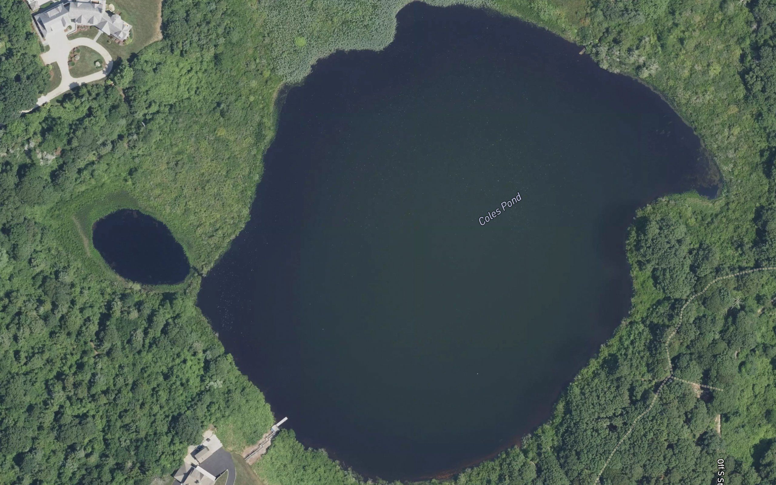 Coles Pond