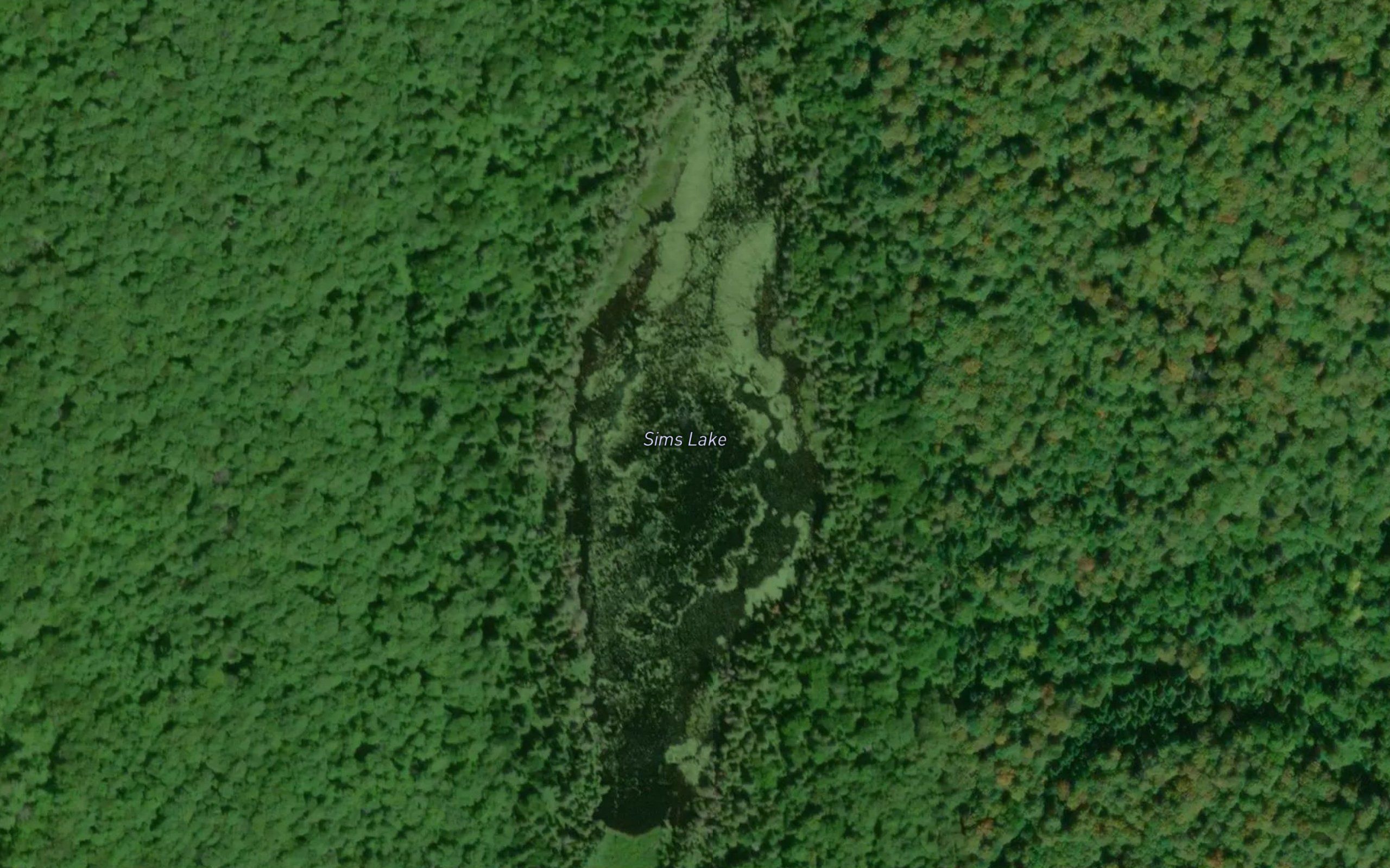 Sims Lake