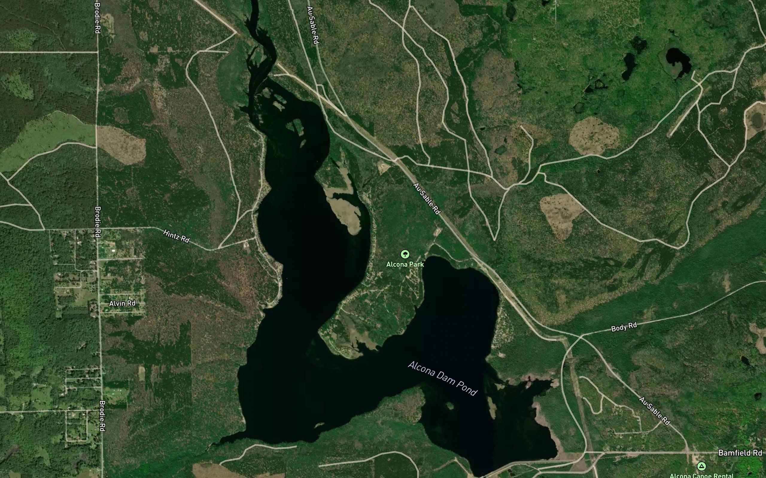Alcona Dam Pond