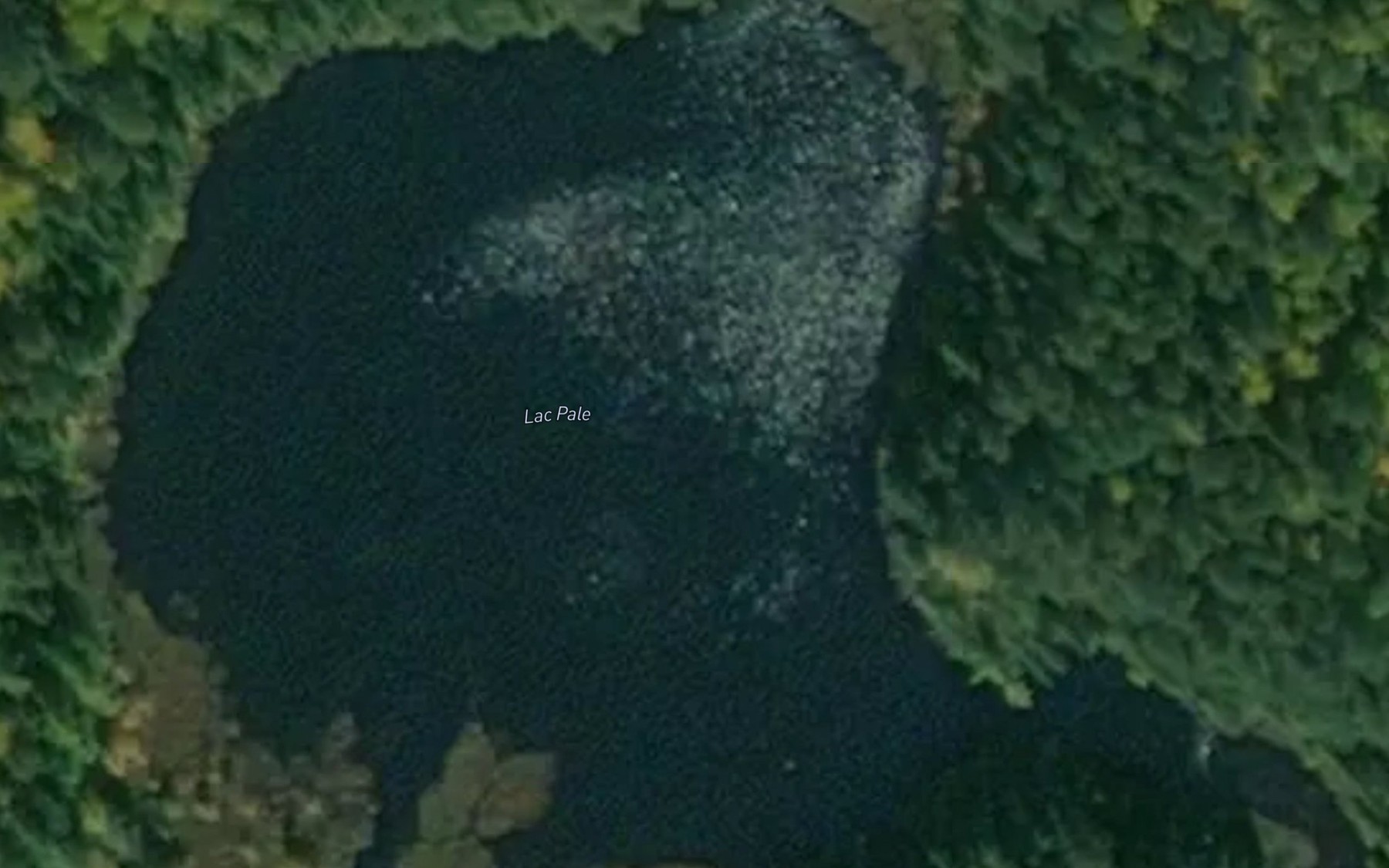 Satellite map of the Lac Pale