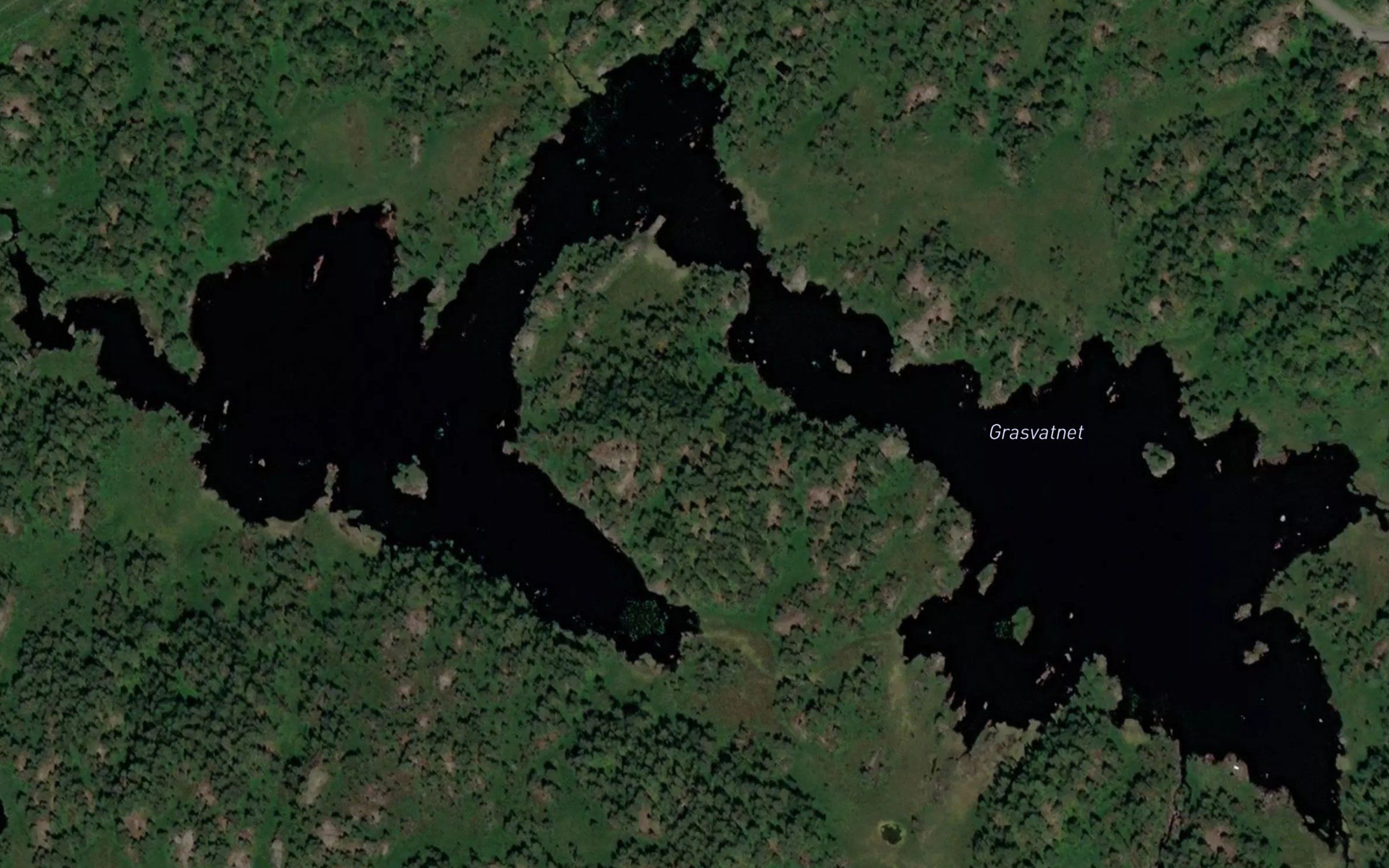 Grasvatnet