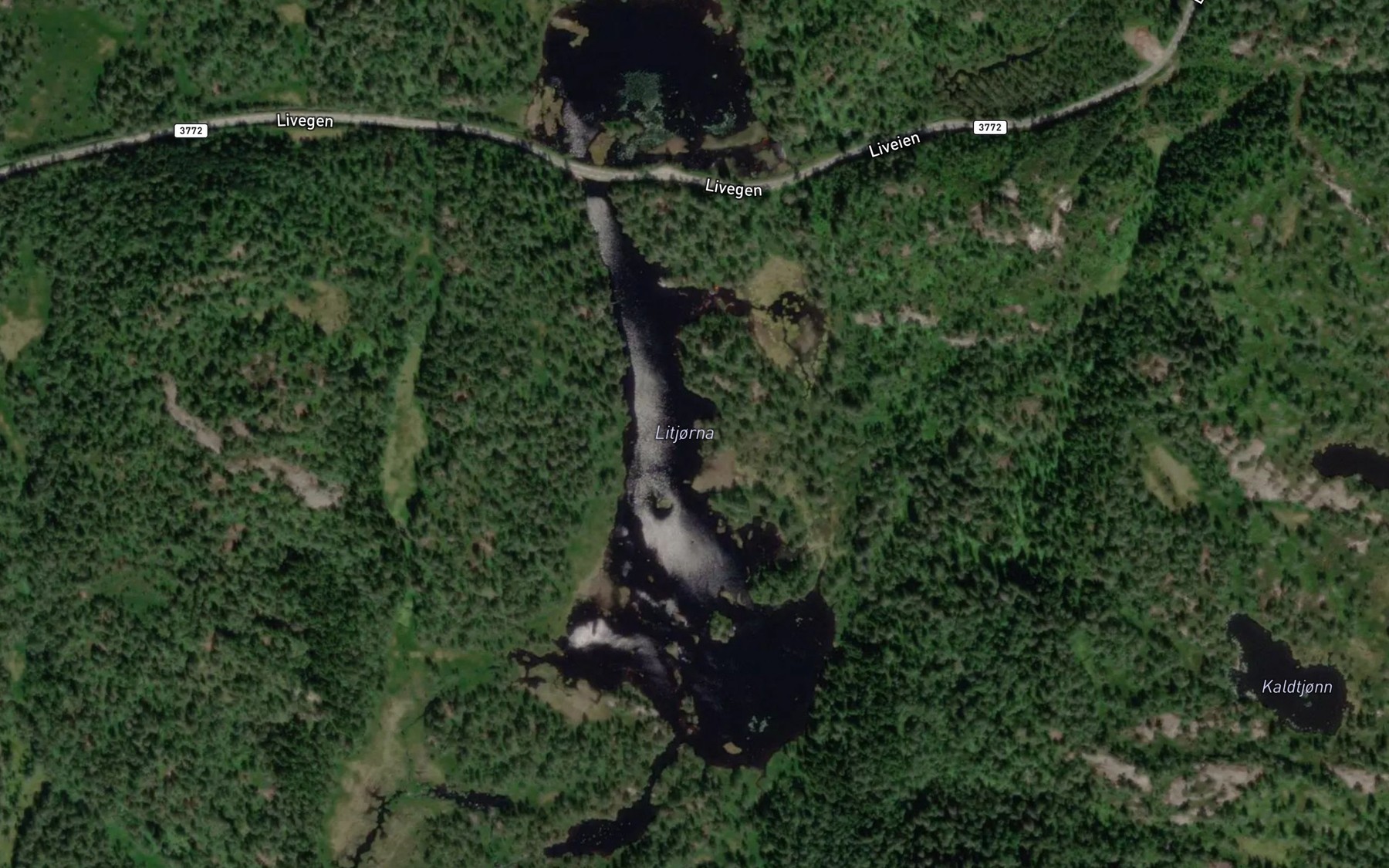 Satellite map of the Litjorna