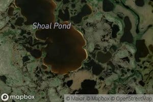 Shoal Pond