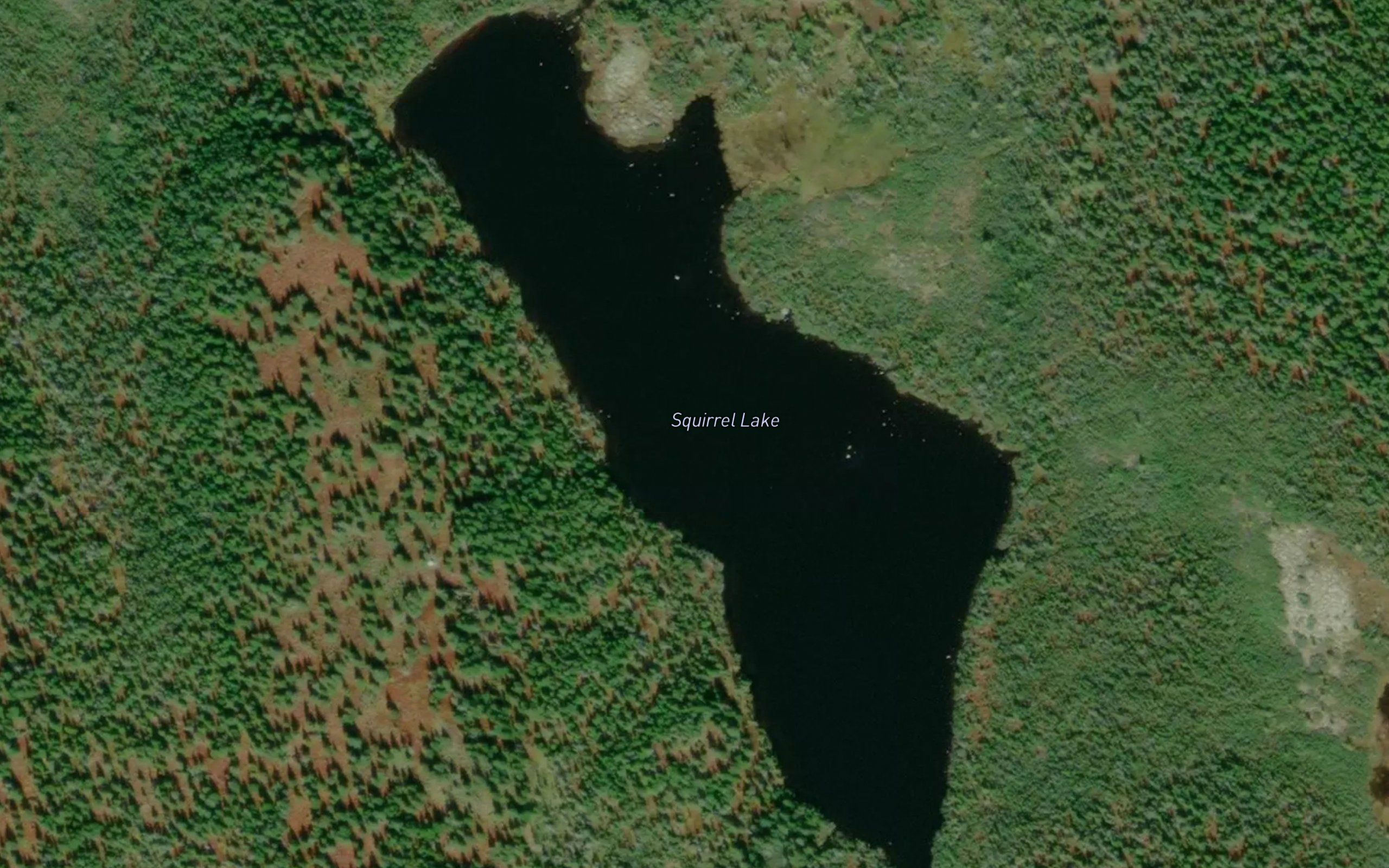 Squirrel Lake