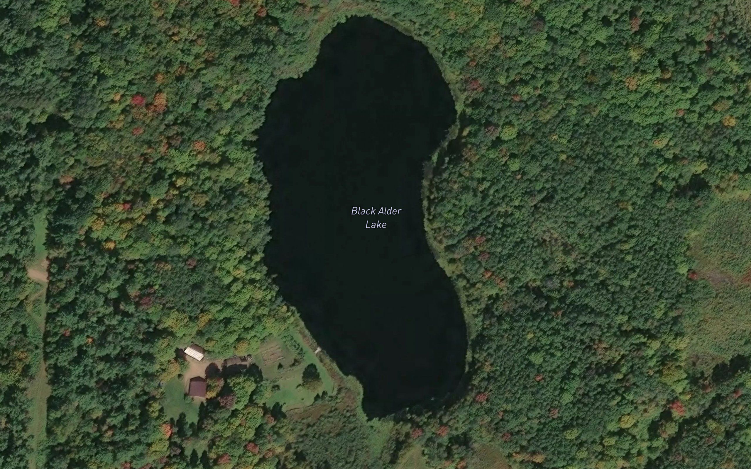 Black Alder Lake