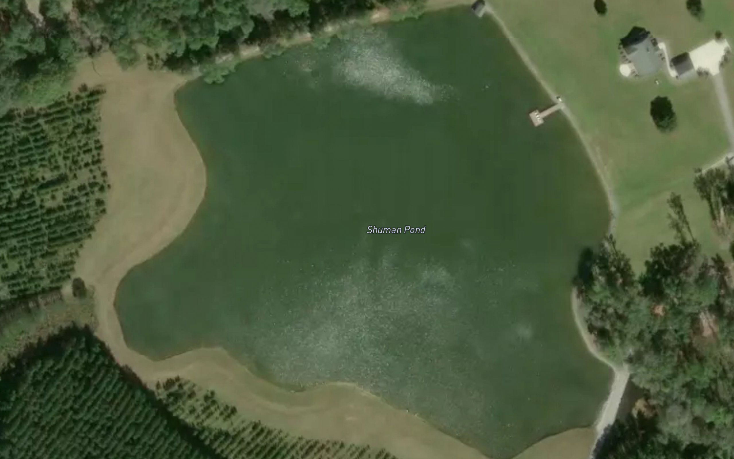 Shuman Pond