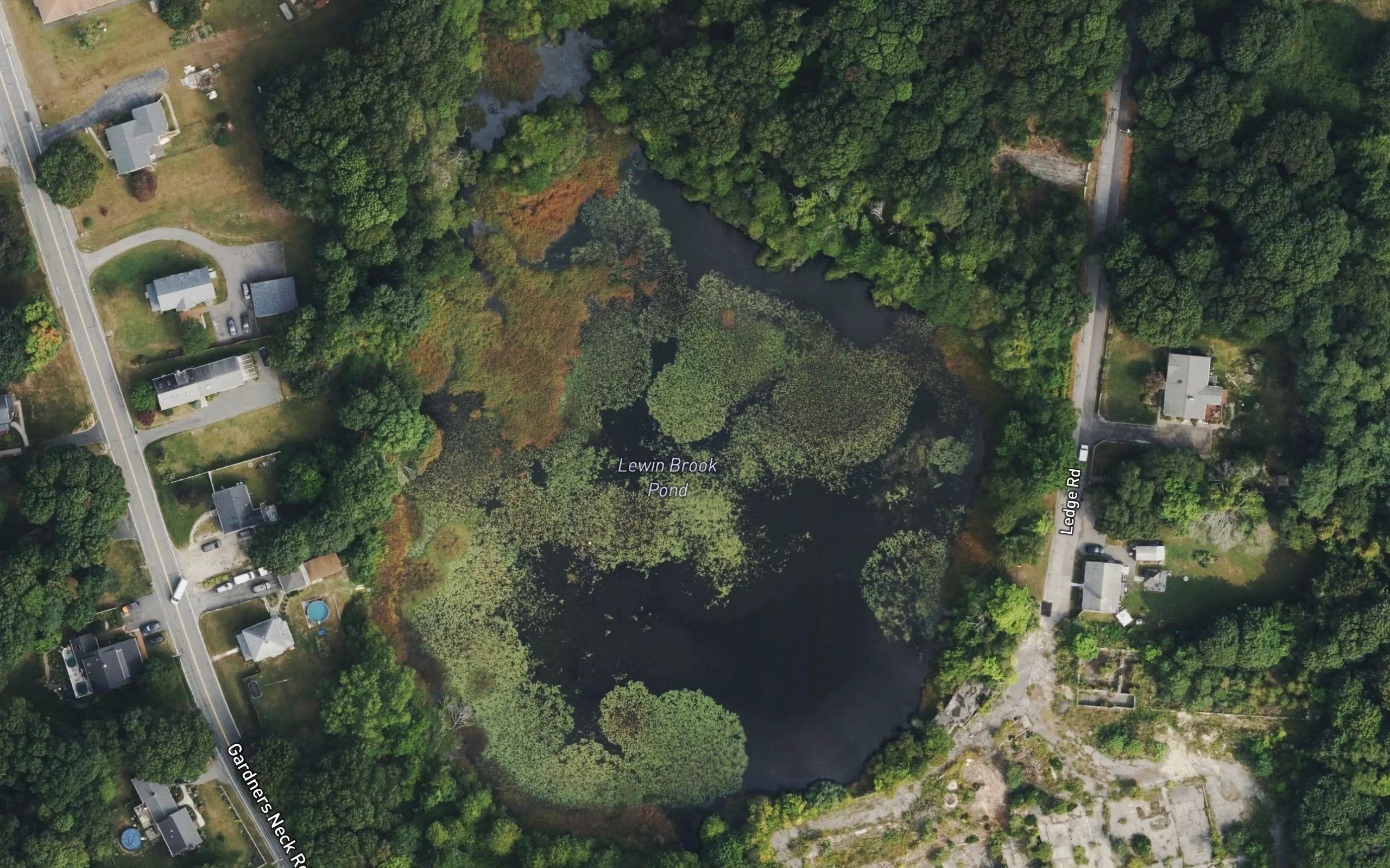 Lewin Brook Pond