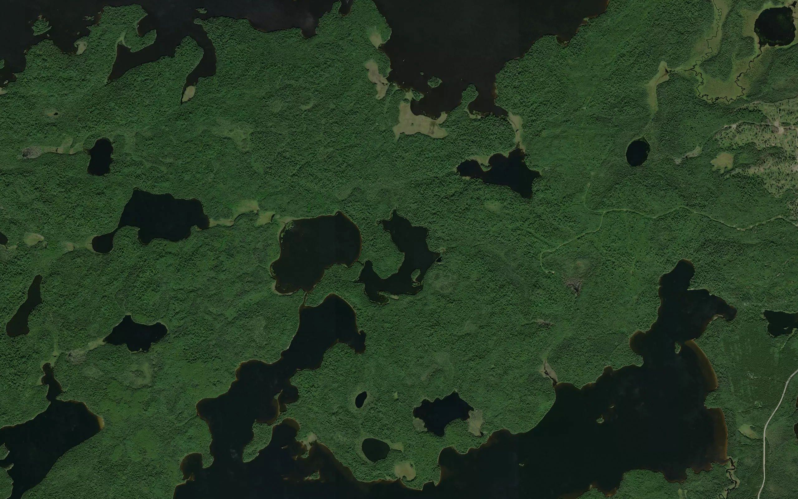 Dawson Lake