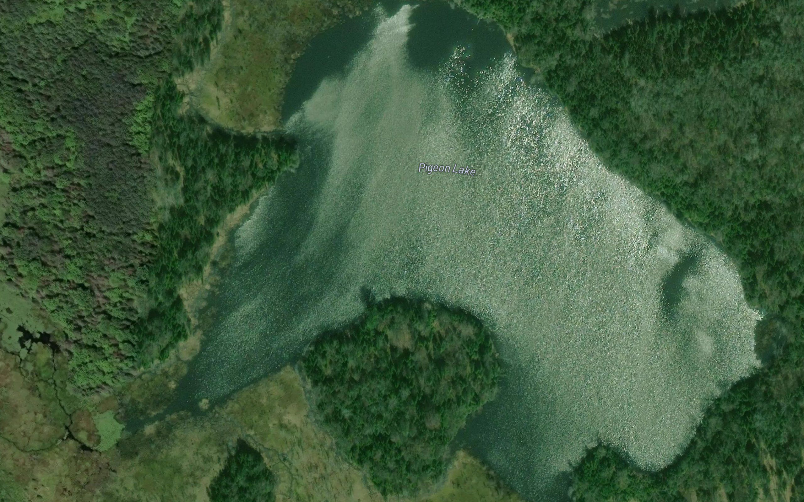 Pigeon Lake