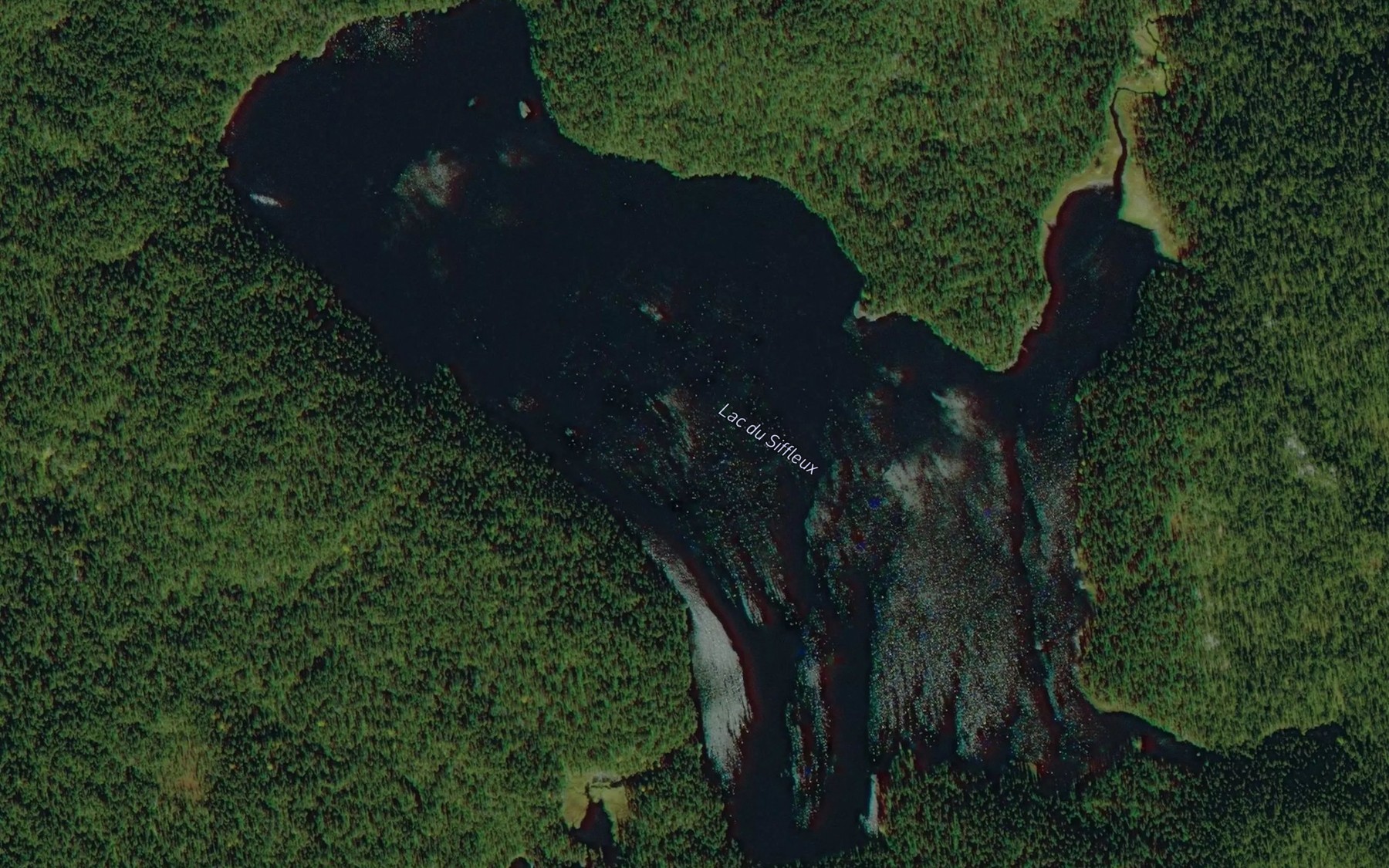 Satellite map of the Lac du Siffleux