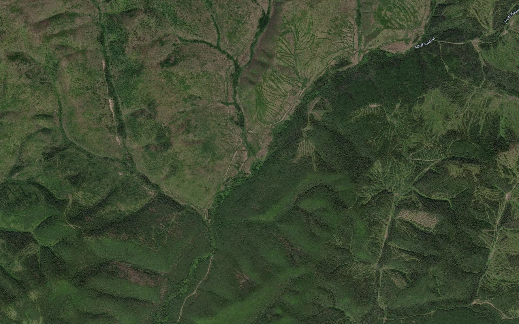 Satellite map of the Yagodnyy