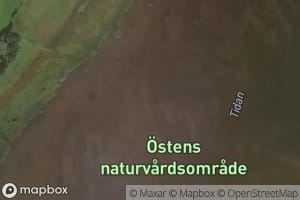 OEsten