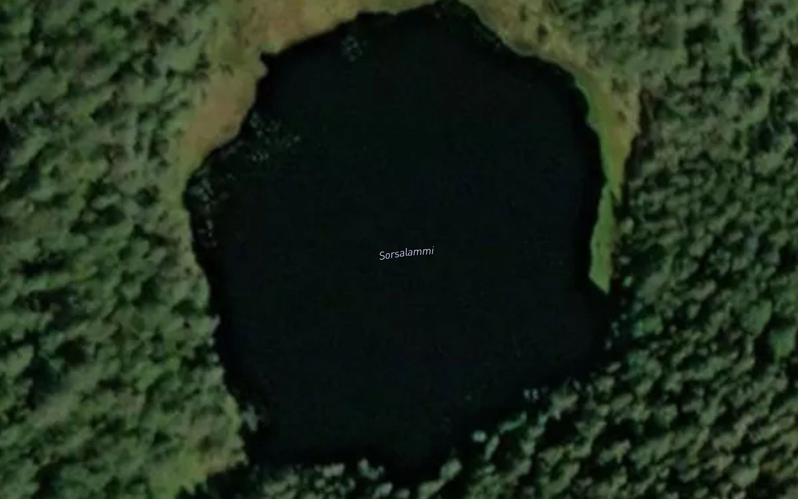 Sorsalammi