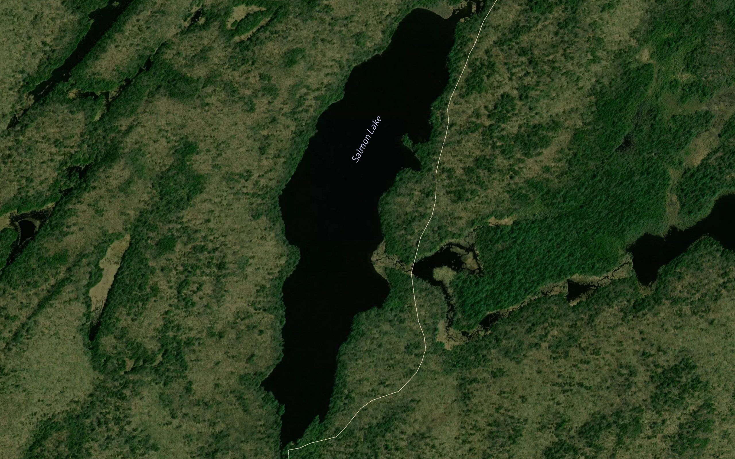 Salmon Lake