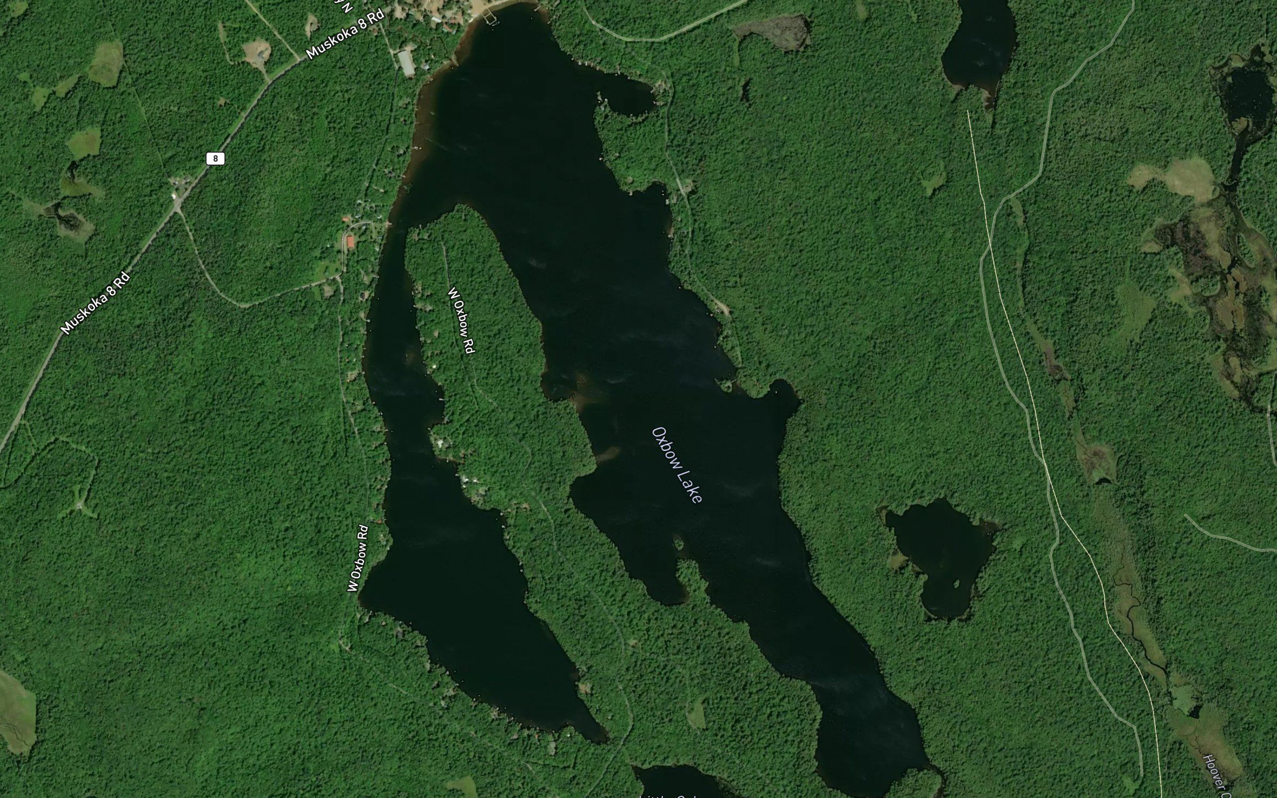 Oxbow Lake