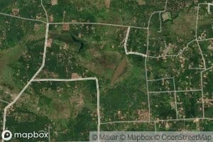 Kivula Wewa Number Thirteen