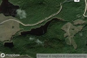 Lac Cedulie