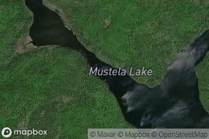 Mustela Lake
