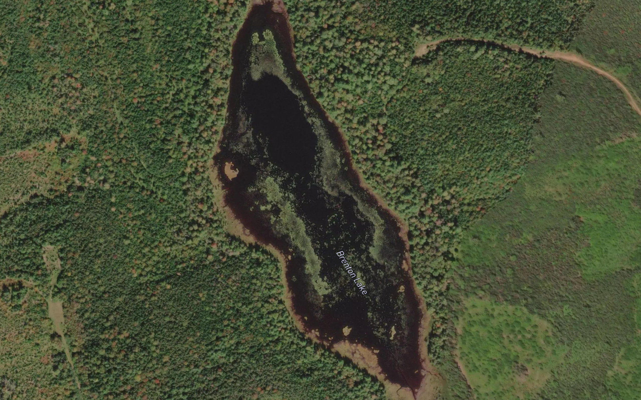 Brenton Lake