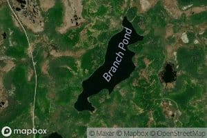 Branch Pond