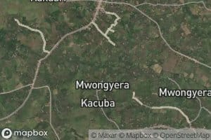 Ngoro