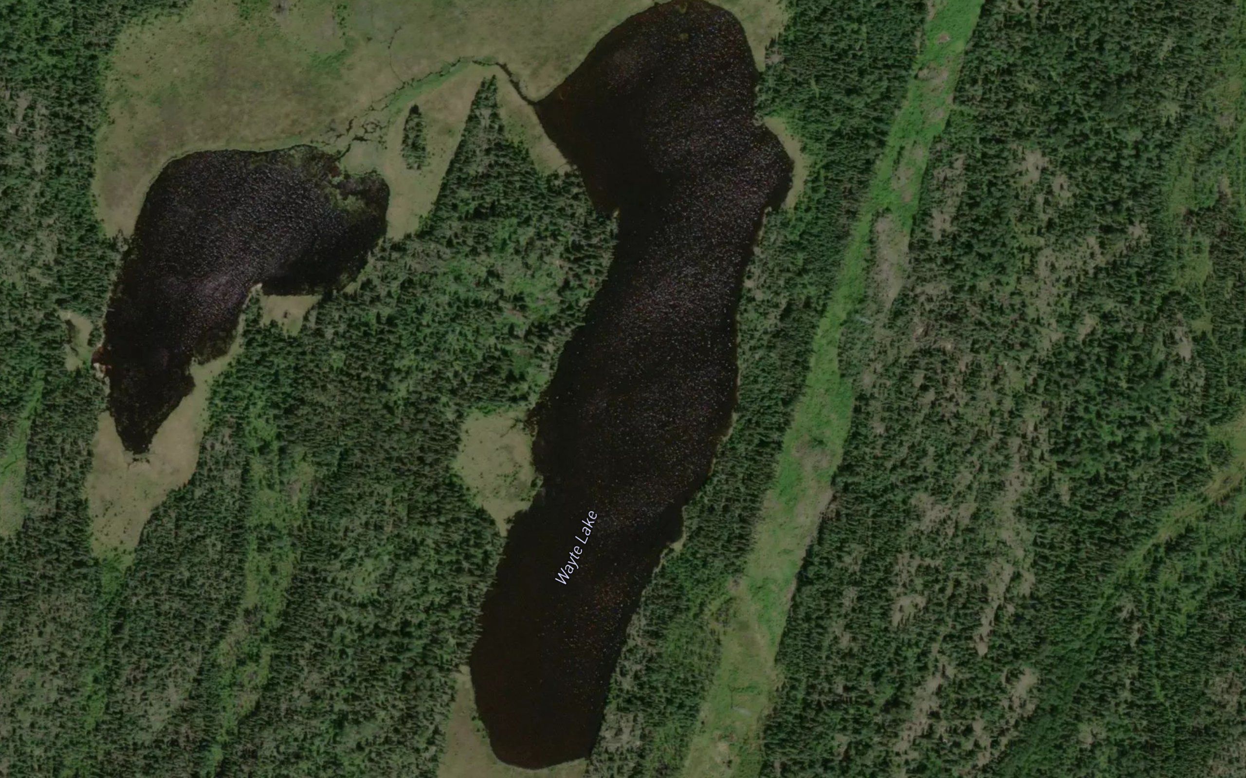 Wayte Lake