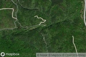 Cutting Bone Creek