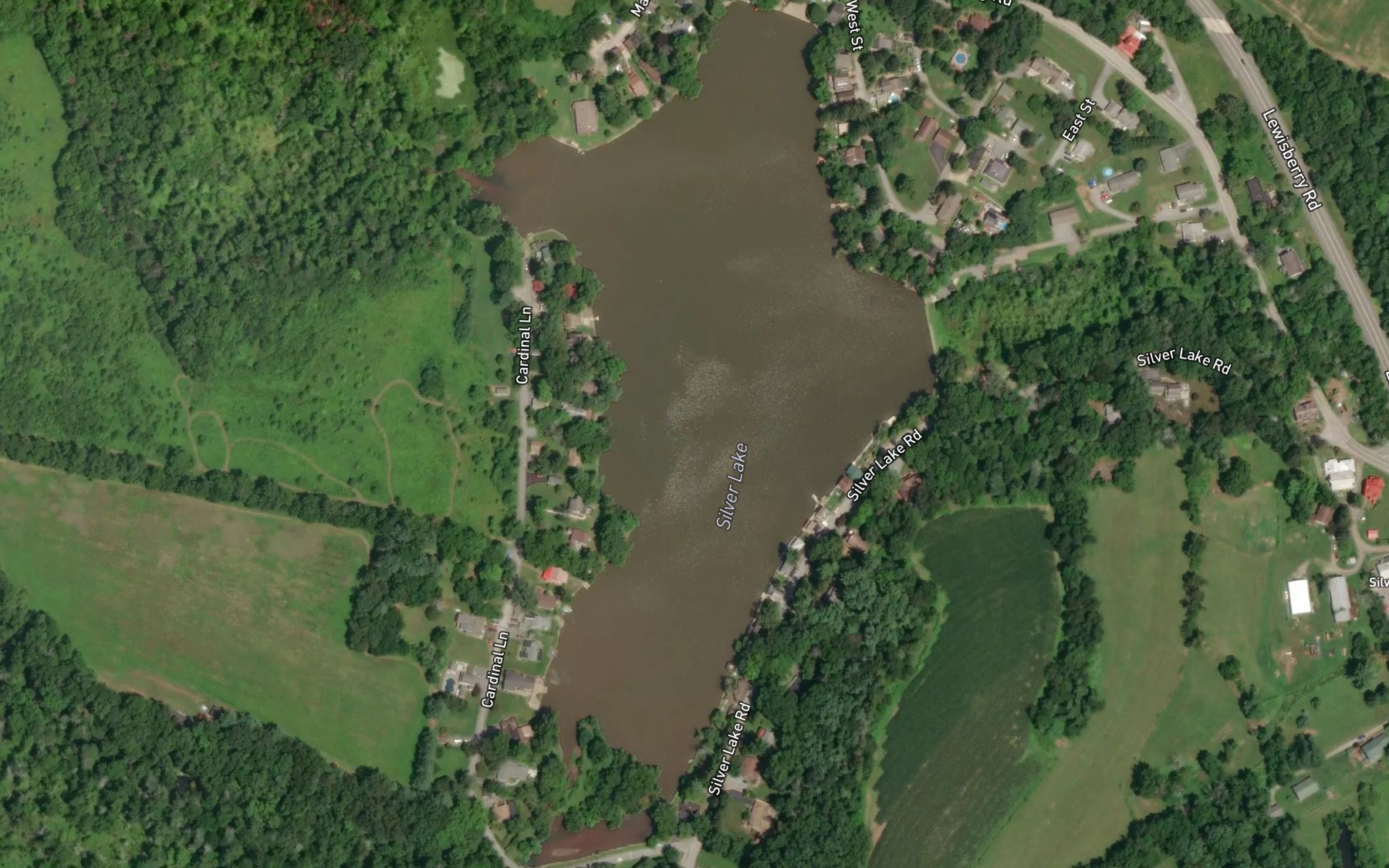 Satellite map of the Silver Lake
